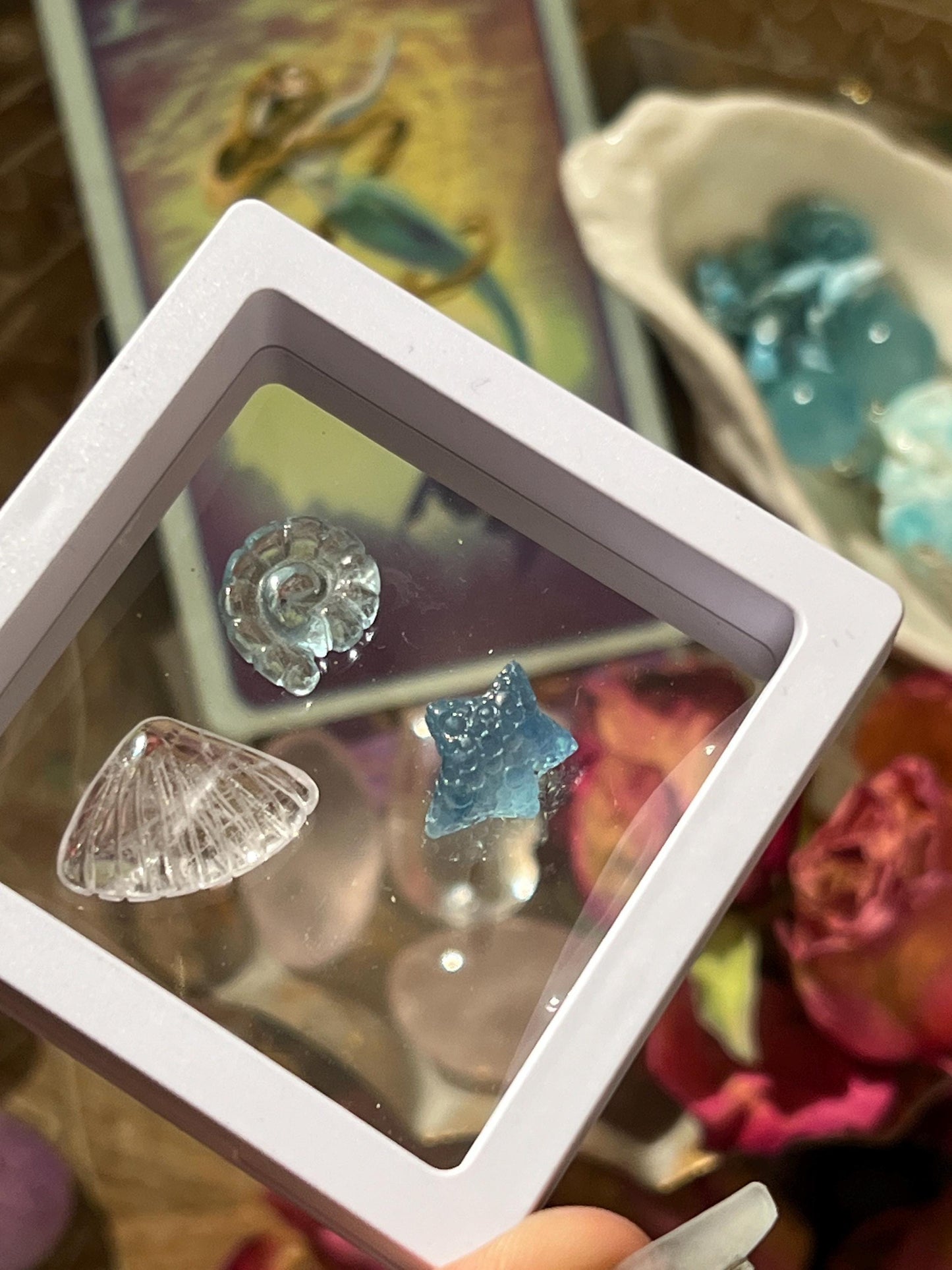 Aquamarine Gift Set, Aquamarine Starfish, Aquamarine Seashell, Morganite Shell, Aquamarine, Morganite, Crystal Gifts, Ocean Sea Gifts