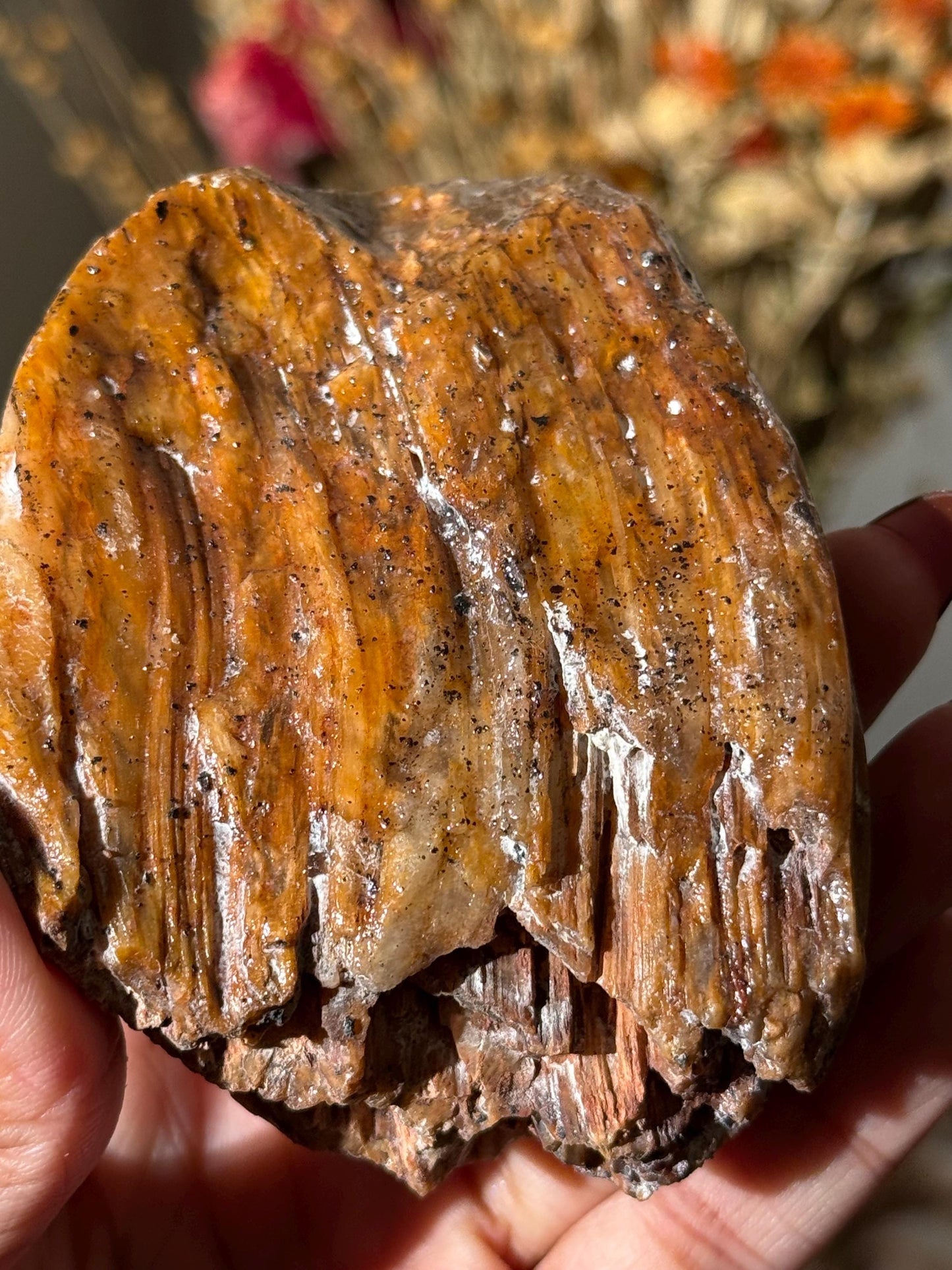 Amphibole Quartz, Rabbit Hair Quartz, Orange Rutilated Quartz, Orange Rutilated Quartz, Amphiboles, Rough Polished Amphibole, Crystal Gifts