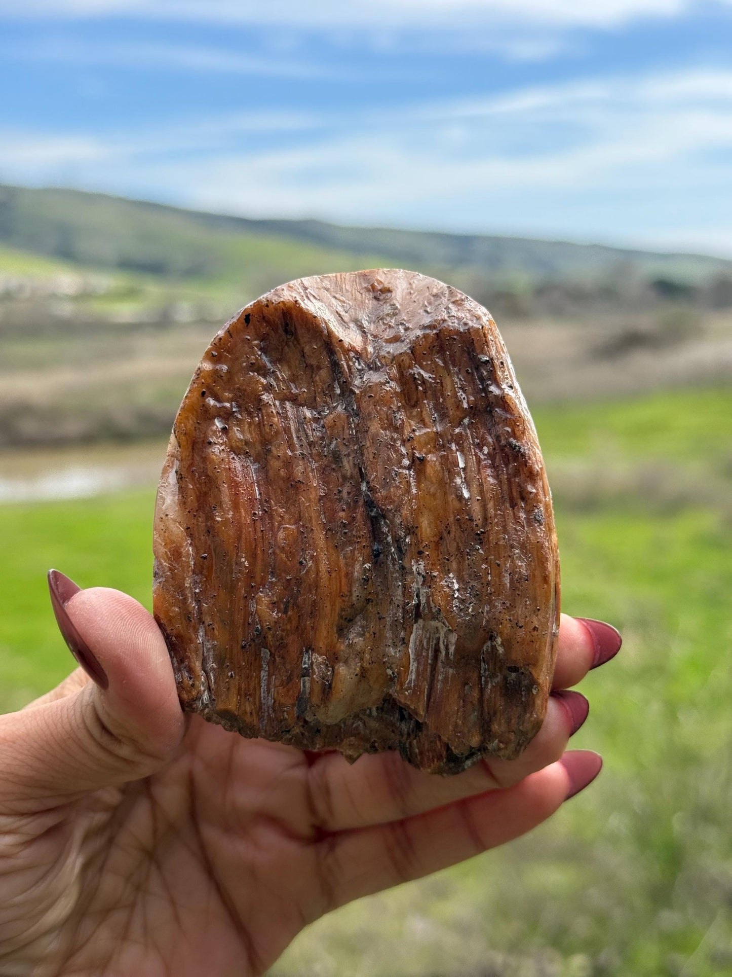 Amphibole Quartz, Rabbit Hair Quartz, Orange Rutilated Quartz, Orange Rutilated Quartz, Amphiboles, Rough Polished Amphibole, Crystal Gifts
