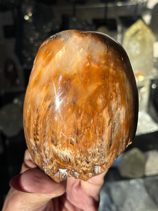 Amphibole Quartz, Rabbit Hair Quartz, Orange Rutilated Quartz, Orange Rutilated Quartz, Amphiboles, Rough Polished Amphibole, Crystal Gifts