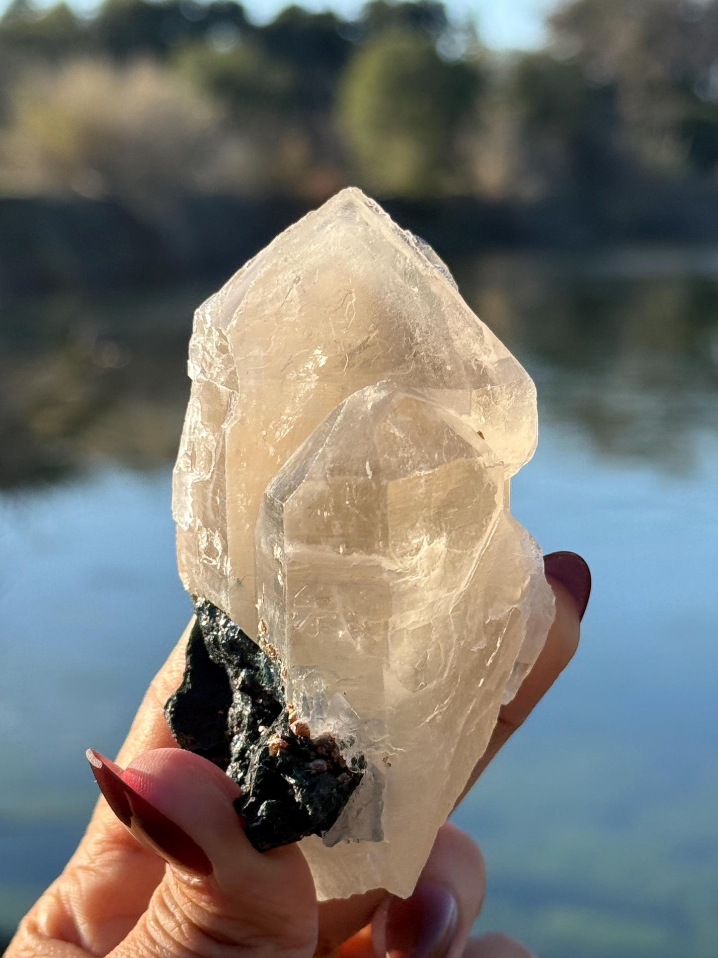 Blue Tourmaline with Quartz, Blue Tourmaline with Mica, Tourmaline in Quartz, Blue Tourmaline, Natural Crystals, Crystal Gifts, Indicolite