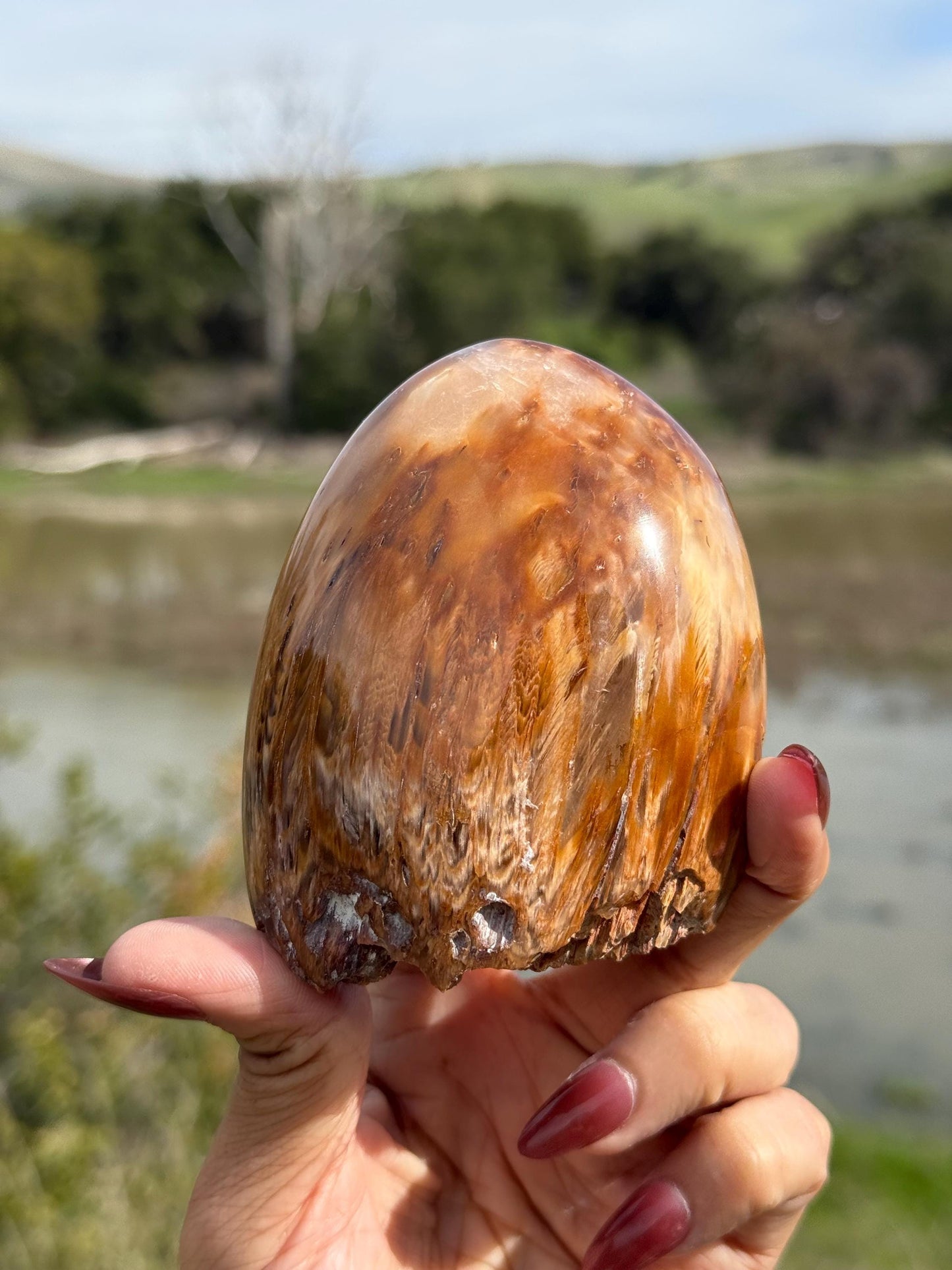 Amphibole Quartz, Rabbit Hair Quartz, Orange Rutilated Quartz, Orange Rutilated Quartz, Amphiboles, Rough Polished Amphibole, Crystal Gifts