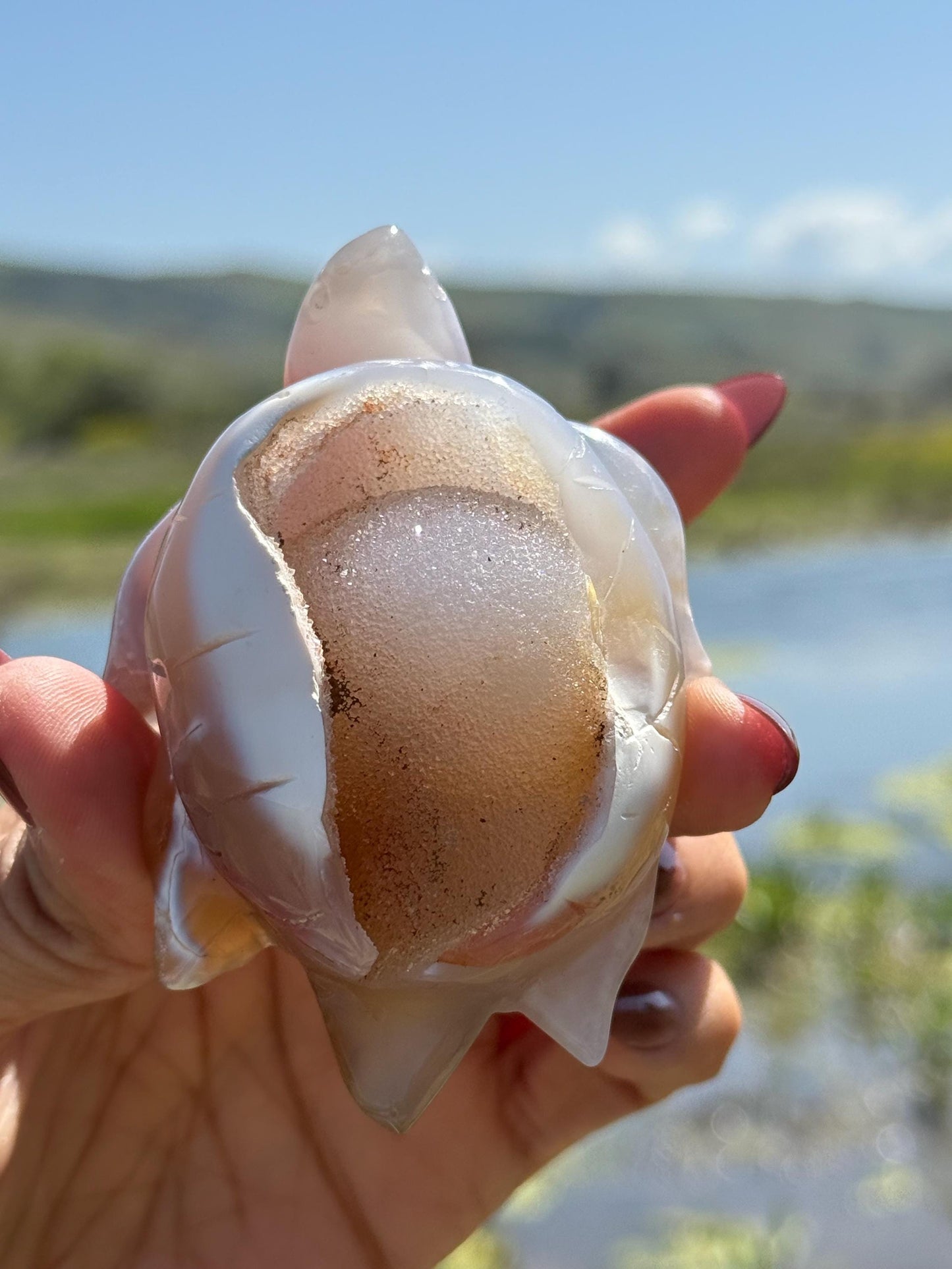 Druzy Agate Turtle, Orca Agate Turtle Carving, Turtle Spirit Animal, Crystal Gifts, Turtle Crystal Carving, Gift for Crystal Lovers