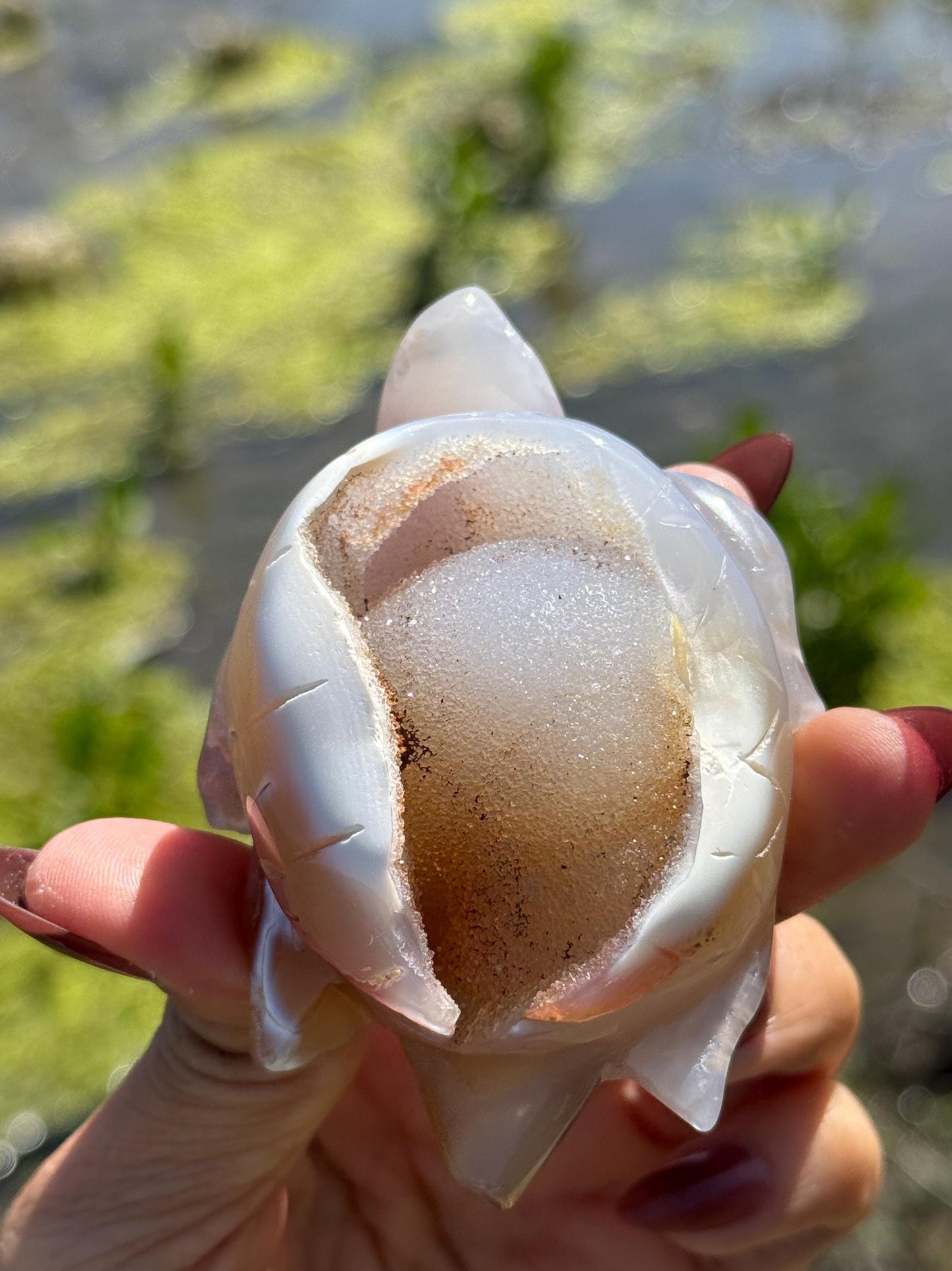 Druzy Agate Turtle, Orca Agate Turtle Carving, Turtle Spirit Animal, Crystal Gifts, Turtle Crystal Carving, Gift for Crystal Lovers