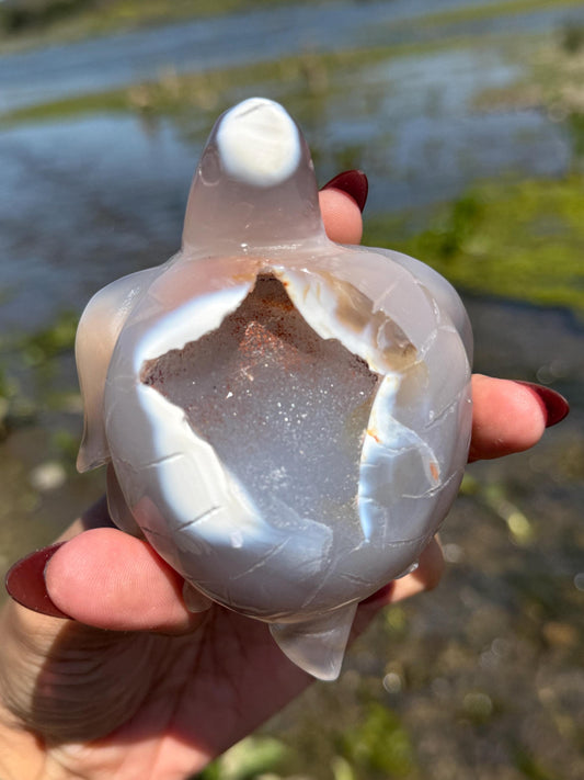 Druzy Agate Crystal Turtle, Druzy Agate Turtle, Turtle Carving, Good Luck Charm, Turtle Totem,  Metaphysical Gifts, Small Size