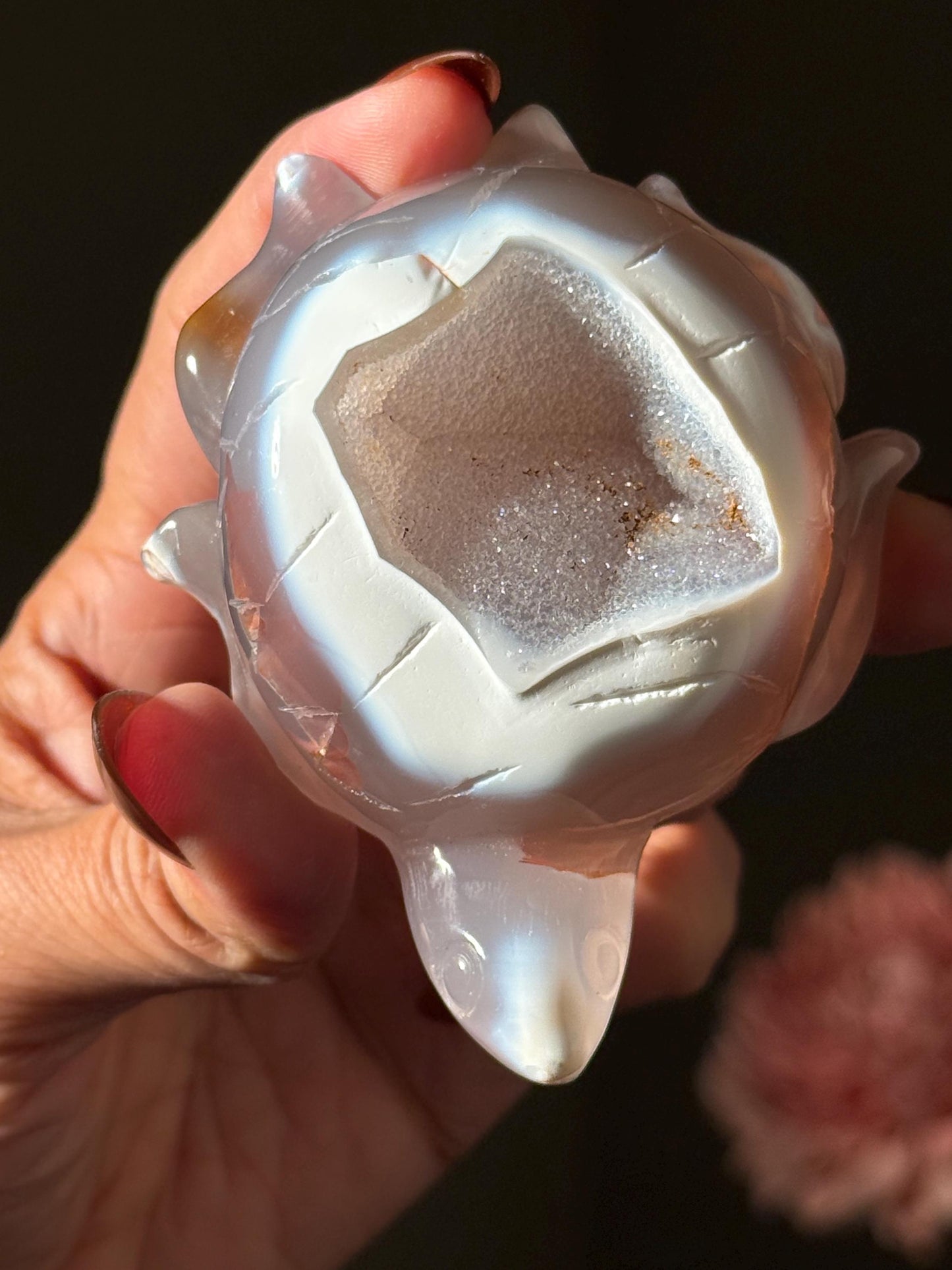 Druzy Agate Turtle, Orca Agate Turtle Carving, Turtle Spirit Animal, Crystal Gifts, Turtle Crystal Carving, Gift for Crystal Lovers