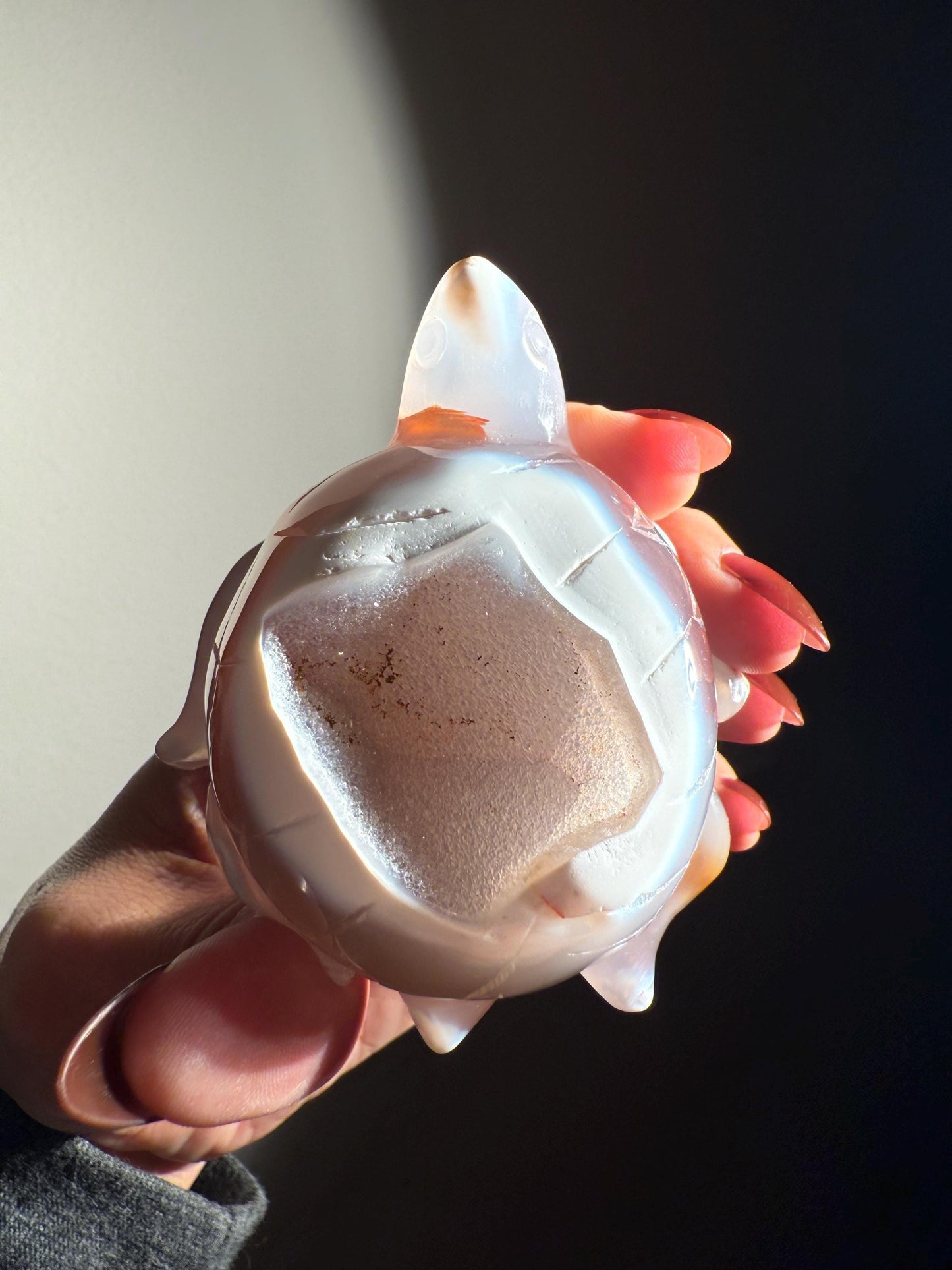 Druzy Agate Turtle, Orca Agate Turtle Carving, Turtle Spirit Animal, Crystal Gifts, Turtle Crystal Carving, Gift for Crystal Lovers