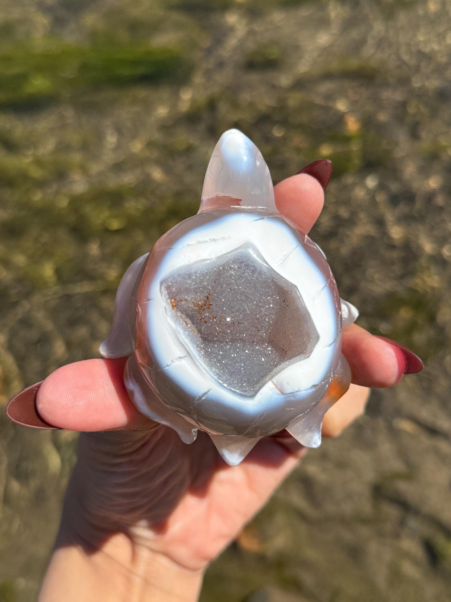 Druzy Agate Turtle, Orca Agate Turtle Carving, Turtle Spirit Animal, Crystal Gifts, Turtle Crystal Carving, Gift for Crystal Lovers