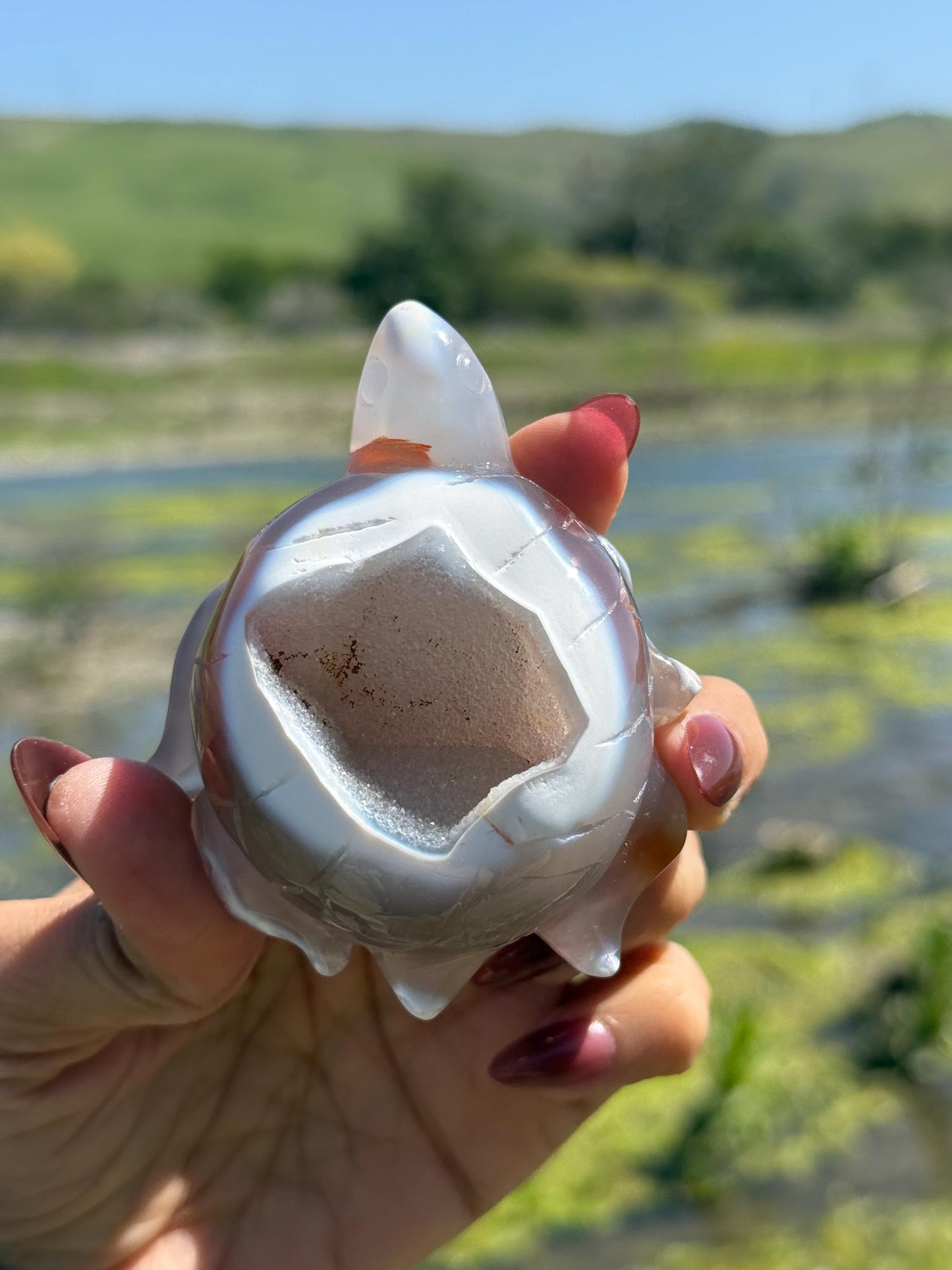 Druzy Agate Turtle, Orca Agate Turtle Carving, Turtle Spirit Animal, Crystal Gifts, Turtle Crystal Carving, Gift for Crystal Lovers