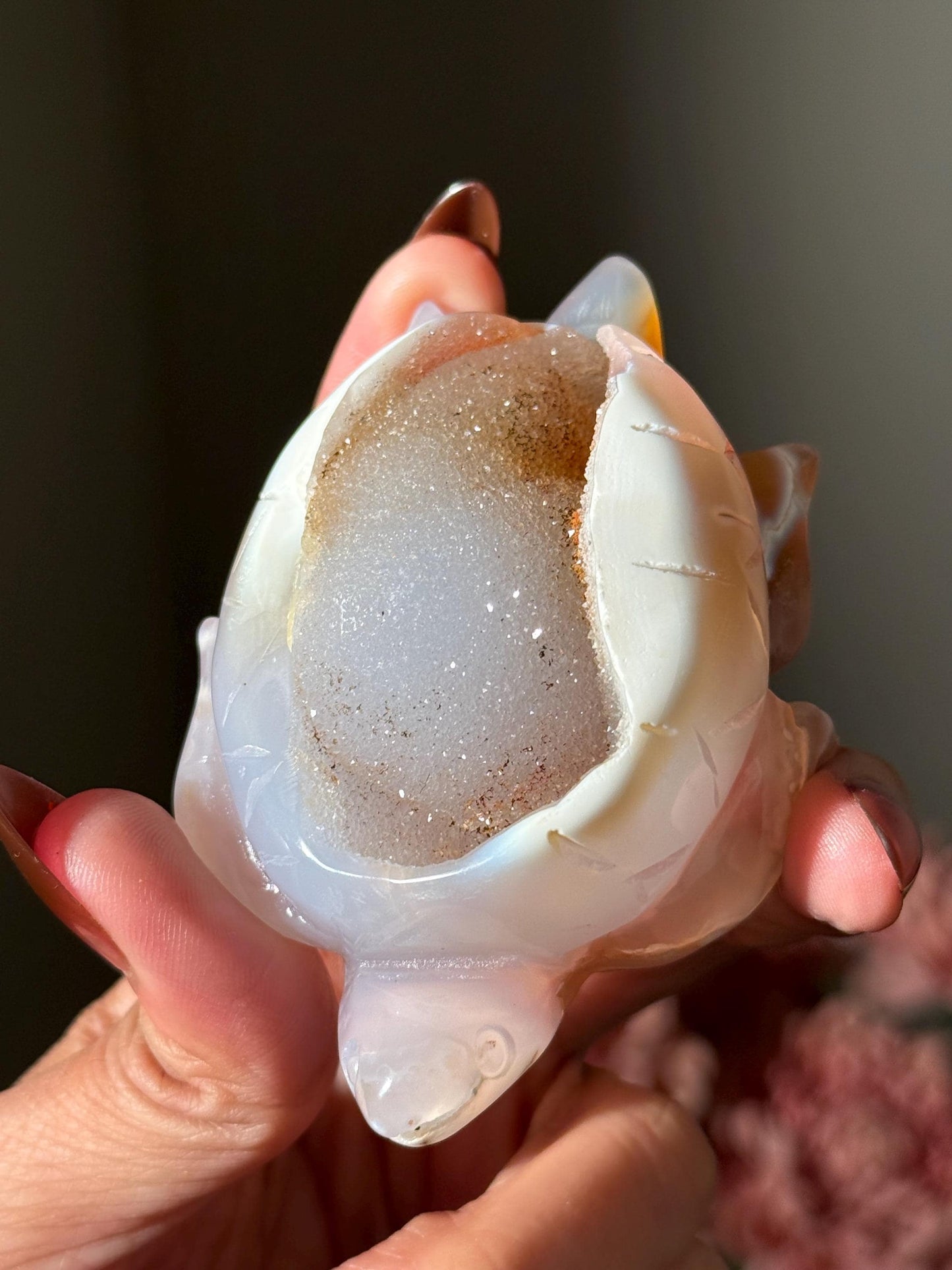Druzy Agate Turtle, Orca Agate Turtle Carving, Turtle Spirit Animal, Crystal Gifts, Turtle Crystal Carving, Gift for Crystal Lovers