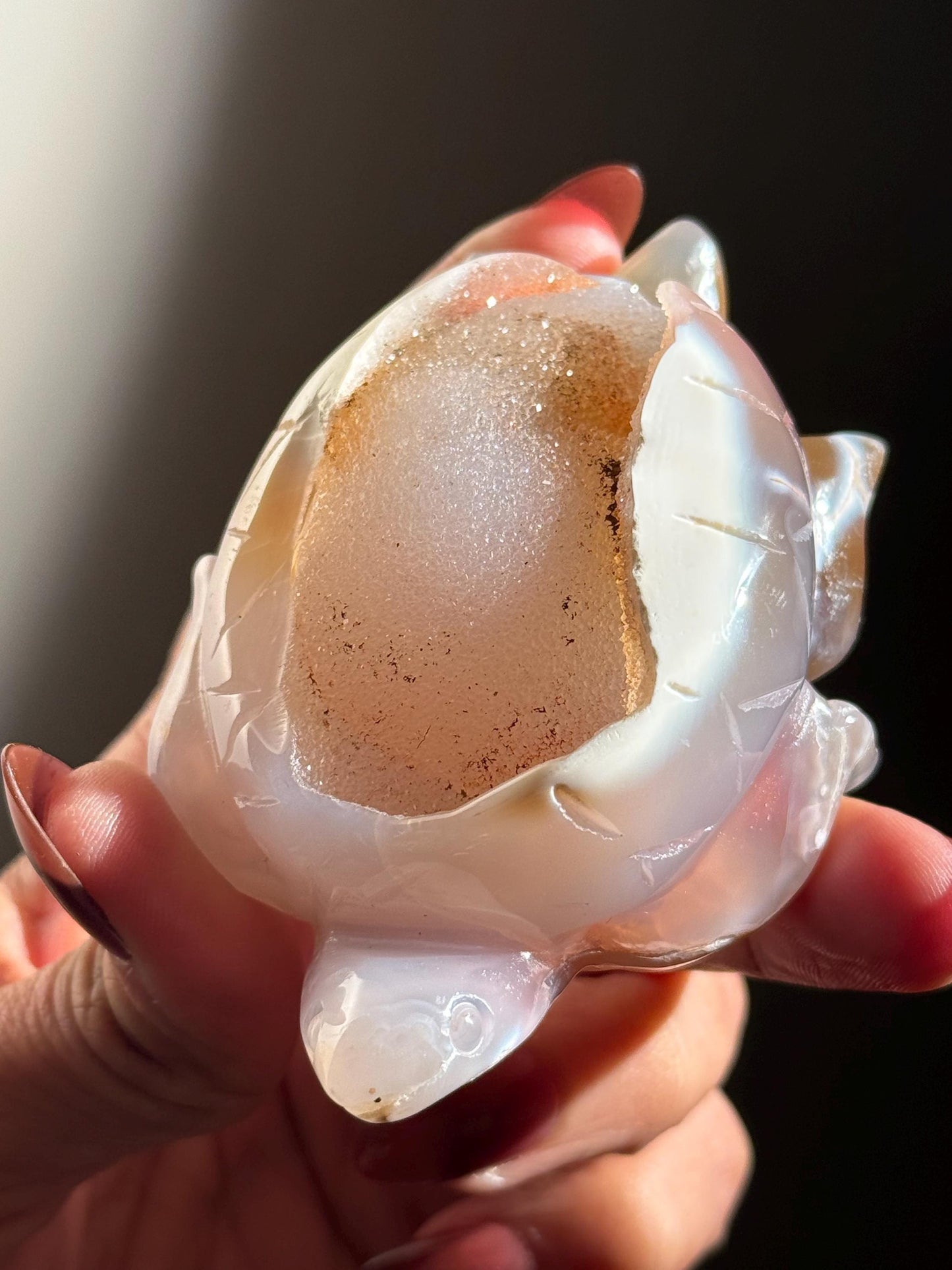 Druzy Agate Turtle, Orca Agate Turtle Carving, Turtle Spirit Animal, Crystal Gifts, Turtle Crystal Carving, Gift for Crystal Lovers