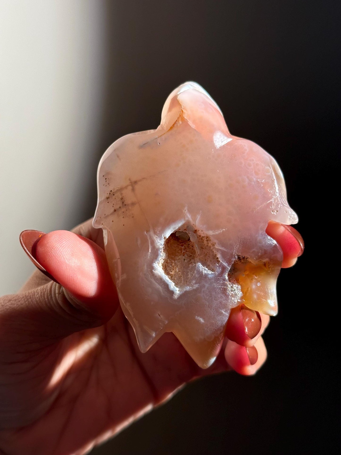 Druzy Agate Turtle, Orca Agate Turtle Carving, Turtle Spirit Animal, Crystal Gifts, Turtle Crystal Carving, Gift for Crystal Lovers