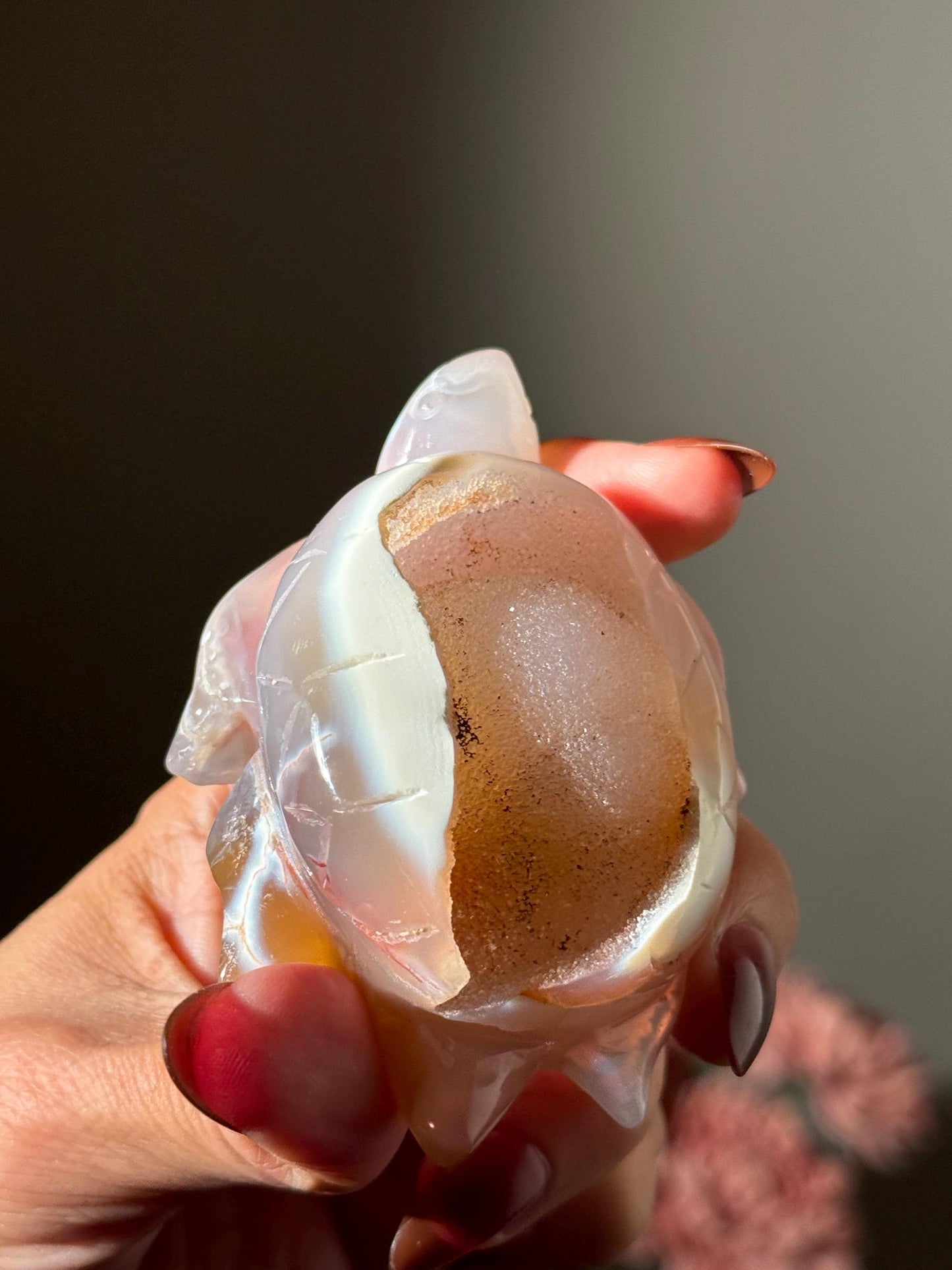 Druzy Agate Turtle, Orca Agate Turtle Carving, Turtle Spirit Animal, Crystal Gifts, Turtle Crystal Carving, Gift for Crystal Lovers
