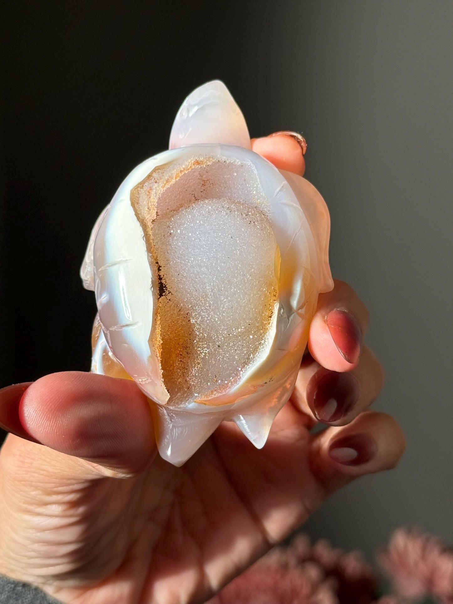 Druzy Agate Turtle, Orca Agate Turtle Carving, Turtle Spirit Animal, Crystal Gifts, Turtle Crystal Carving, Gift for Crystal Lovers