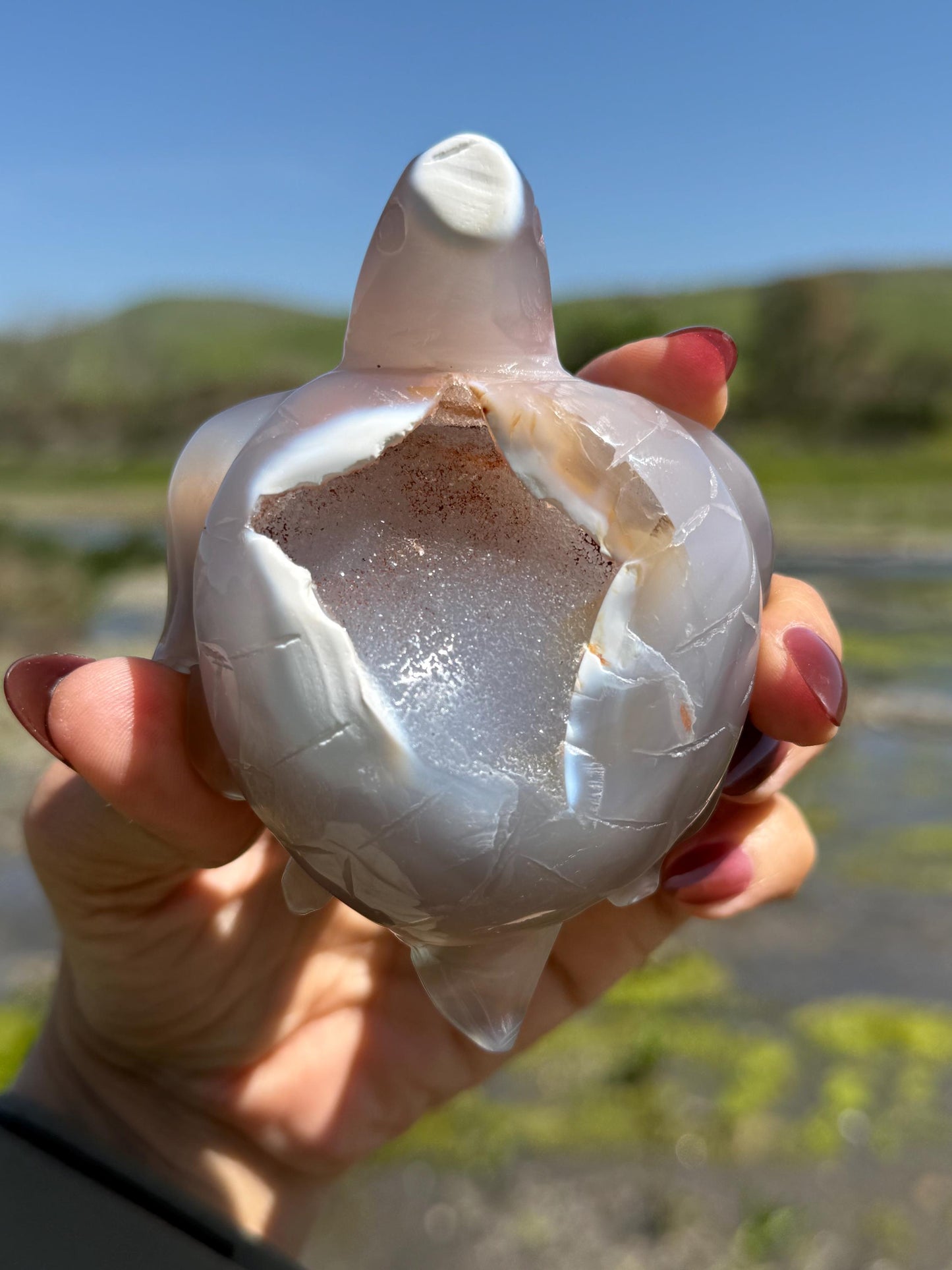 Druzy Agate Crystal Turtle, Druzy Agate Turtle, Turtle Carving, Good Luck Charm, Turtle Totem,  Metaphysical Gifts, Small Size