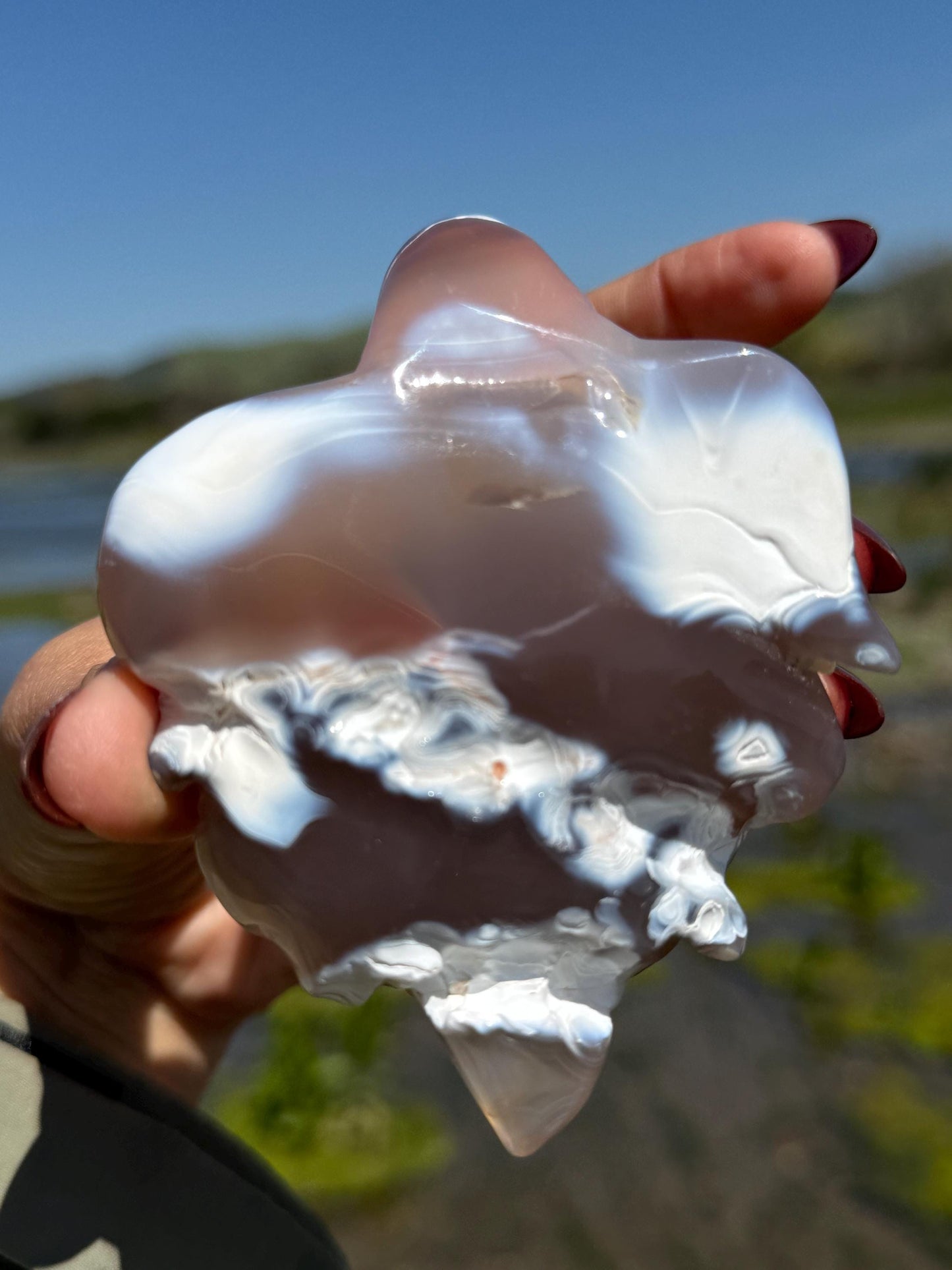 Druzy Agate Crystal Turtle, Druzy Agate Turtle, Turtle Carving, Good Luck Charm, Turtle Totem,  Metaphysical Gifts, Small Size