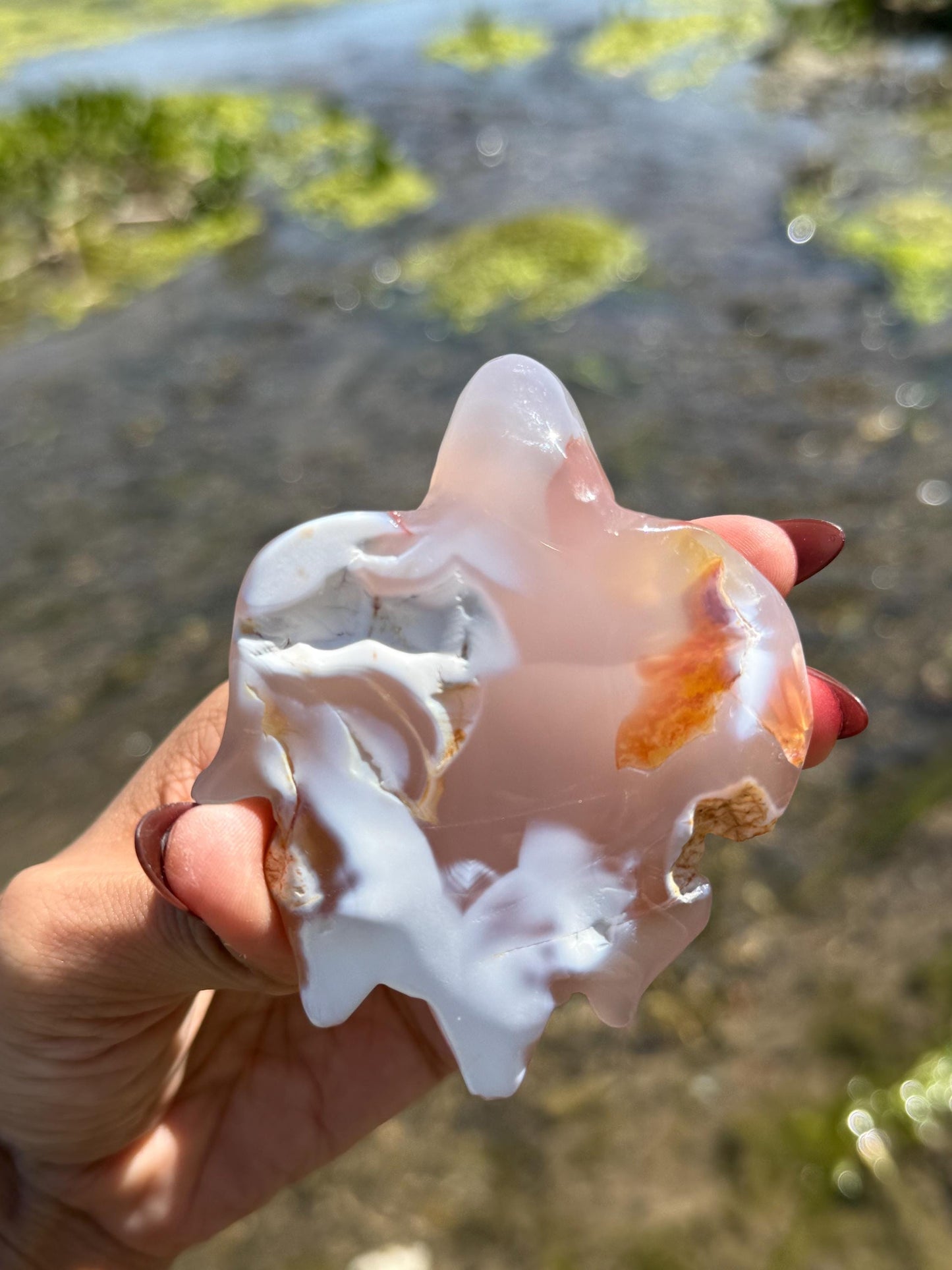 Druzy Agate Turtle, Orca Agate Turtle Carving, Turtle Spirit Animal, Crystal Gifts, Turtle Crystal Carving, Gift for Crystal Lovers