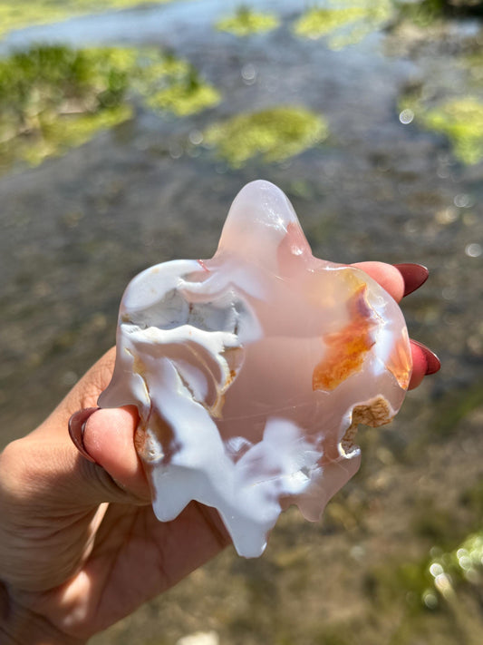 Druzy Agate Turtle, Orca Agate Turtle Carving, Turtle Spirit Animal, Crystal Gifts, Turtle Crystal Carving, Gift for Crystal Lovers