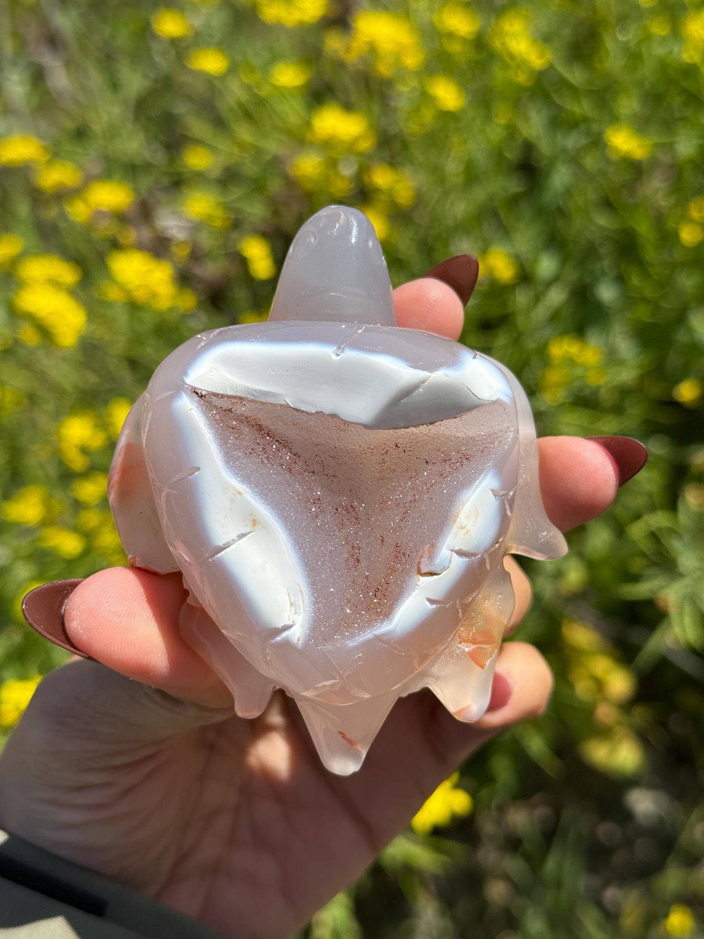 Druzy Agate Turtle, Orca Agate Turtle Carving, Turtle Spirit Animal, Crystal Gifts, Turtle Crystal Carving, Gift for Crystal Lovers