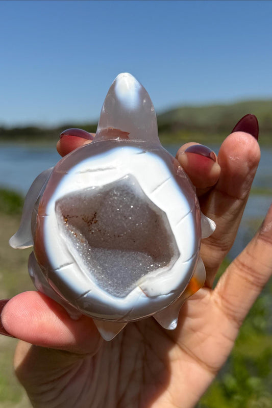 Druzy Agate Turtle, Orca Agate Turtle Carving, Turtle Spirit Animal, Crystal Gifts, Turtle Crystal Carving, Gift for Crystal Lovers