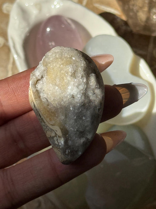 Spiralite Shell, Spiralite Quartz Shell, Fossilized Sea Shell, Agatized Shell, Druzy Quartz Shell, Fossilized Quartz, Crystal Gifts, Fossils