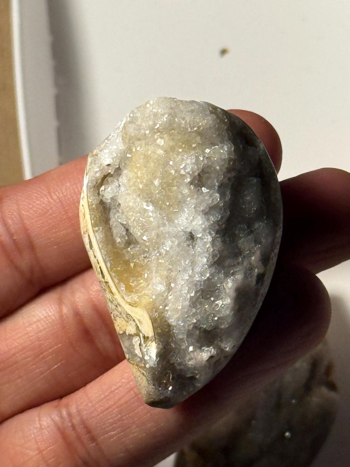 Spiralite Shell, Spiralite Quartz Shell, Fossilized Sea Shell, Agatized Shell, Druzy Quartz Shell, Fossilized Quartz, Crystal Gifts, Fossils