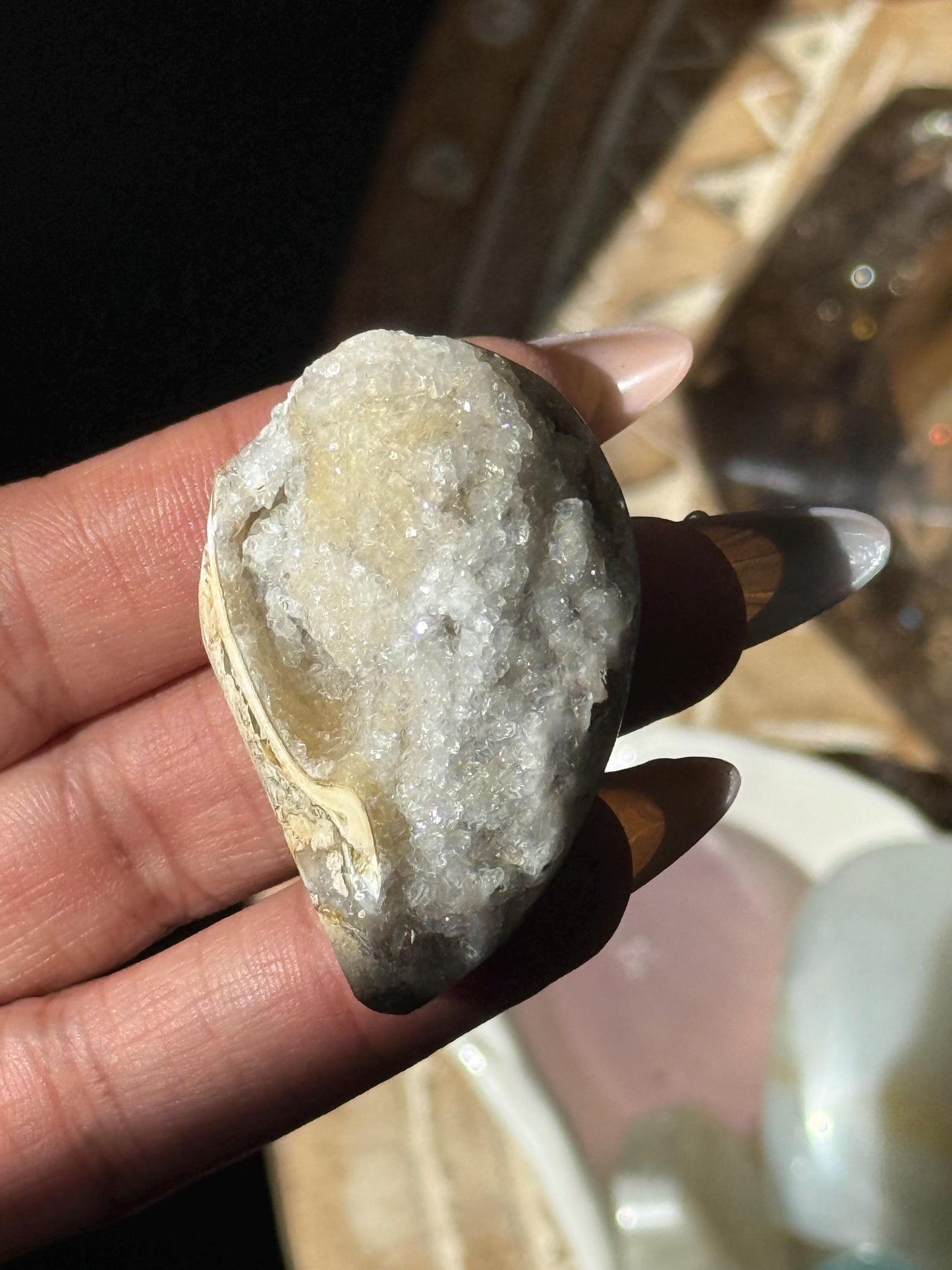 Spiralite Shell, Spiralite Quartz Shell, Fossilized Sea Shell, Agatized Shell, Druzy Quartz Shell, Fossilized Quartz, Crystal Gifts, Fossils