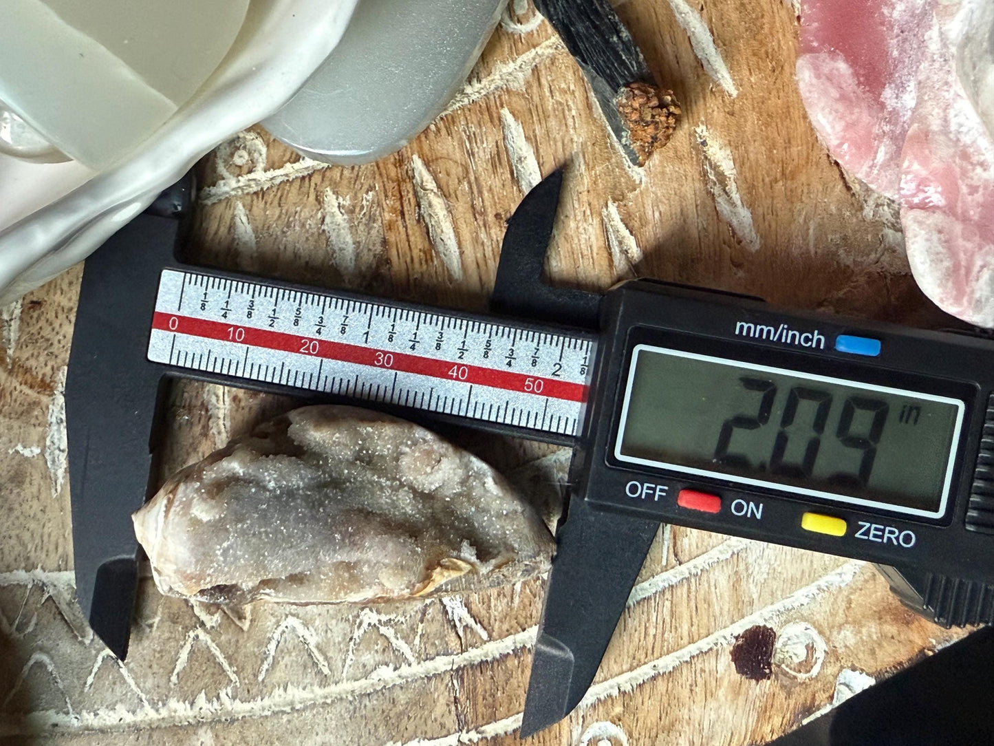 Spiralite Shell, Spiralite Quartz Shell, Fossilized Sea Shell, Agatized Shell, Druzy Quartz Shell, Fossilized Quartz, Crystal Gifts, Fossils