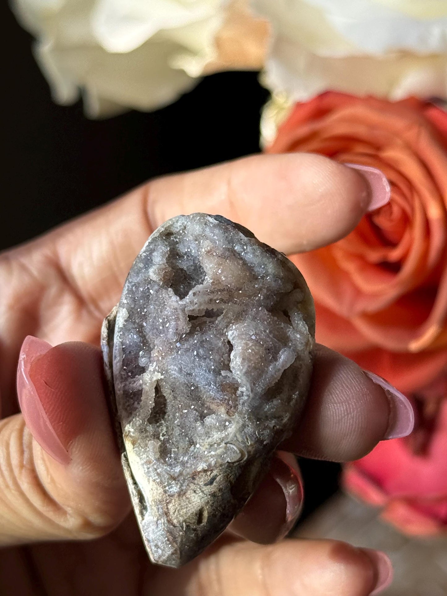 Spiralite Shell, Spiralite Quartz Shell, Fossilized Sea Shell, Agatized Shell, Druzy Quartz Shell, Fossilized Quartz, Crystal Gifts, Fossils