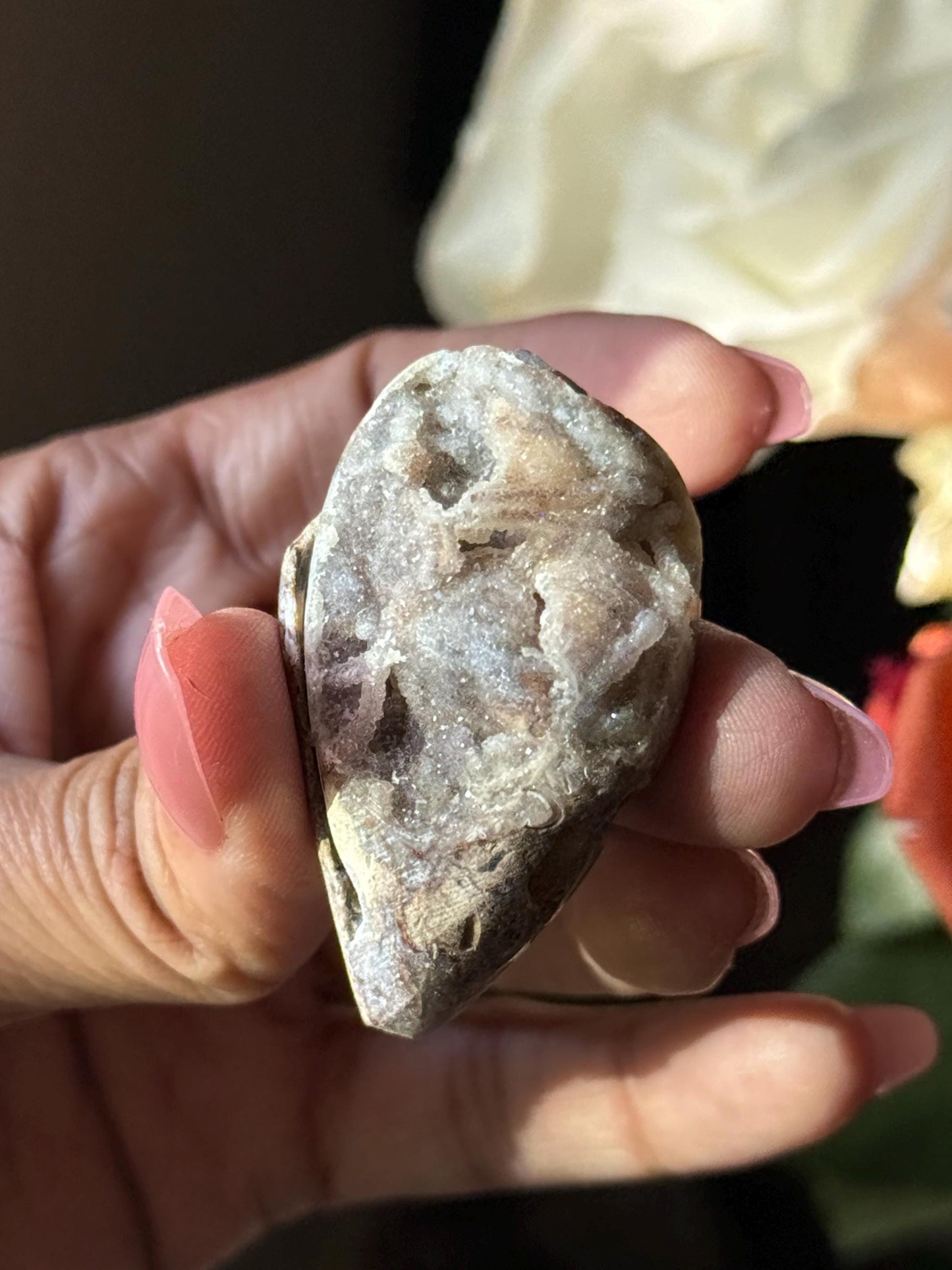 Spiralite Shell, Spiralite Quartz Shell, Fossilized Sea Shell, Agatized Shell, Druzy Quartz Shell, Fossilized Quartz, Crystal Gifts, Fossils
