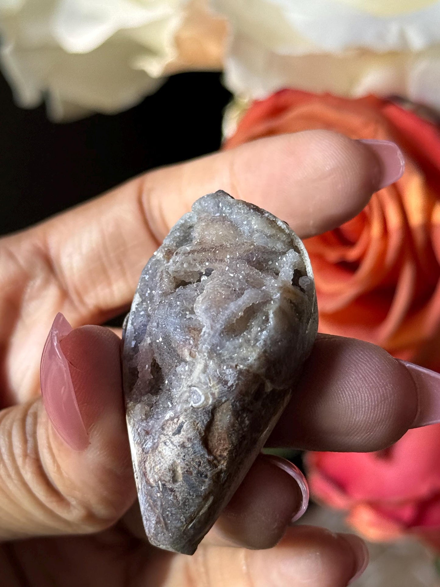 Spiralite Shell, Spiralite Quartz Shell, Fossilized Sea Shell, Agatized Shell, Druzy Quartz Shell, Fossilized Quartz, Crystal Gifts, Fossils