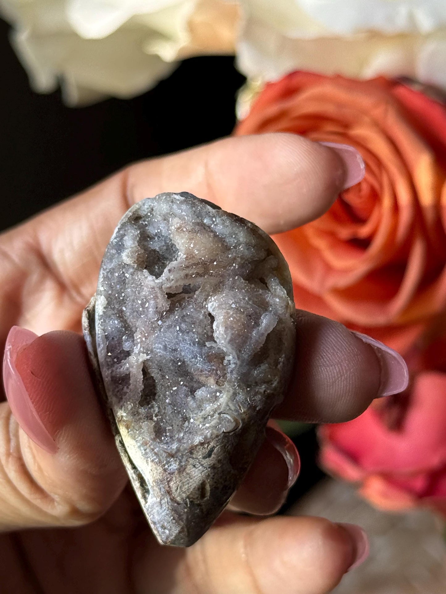 Spiralite Shell, Spiralite Quartz Shell, Fossilized Sea Shell, Agatized Shell, Druzy Quartz Shell, Fossilized Quartz, Crystal Gifts, Fossils