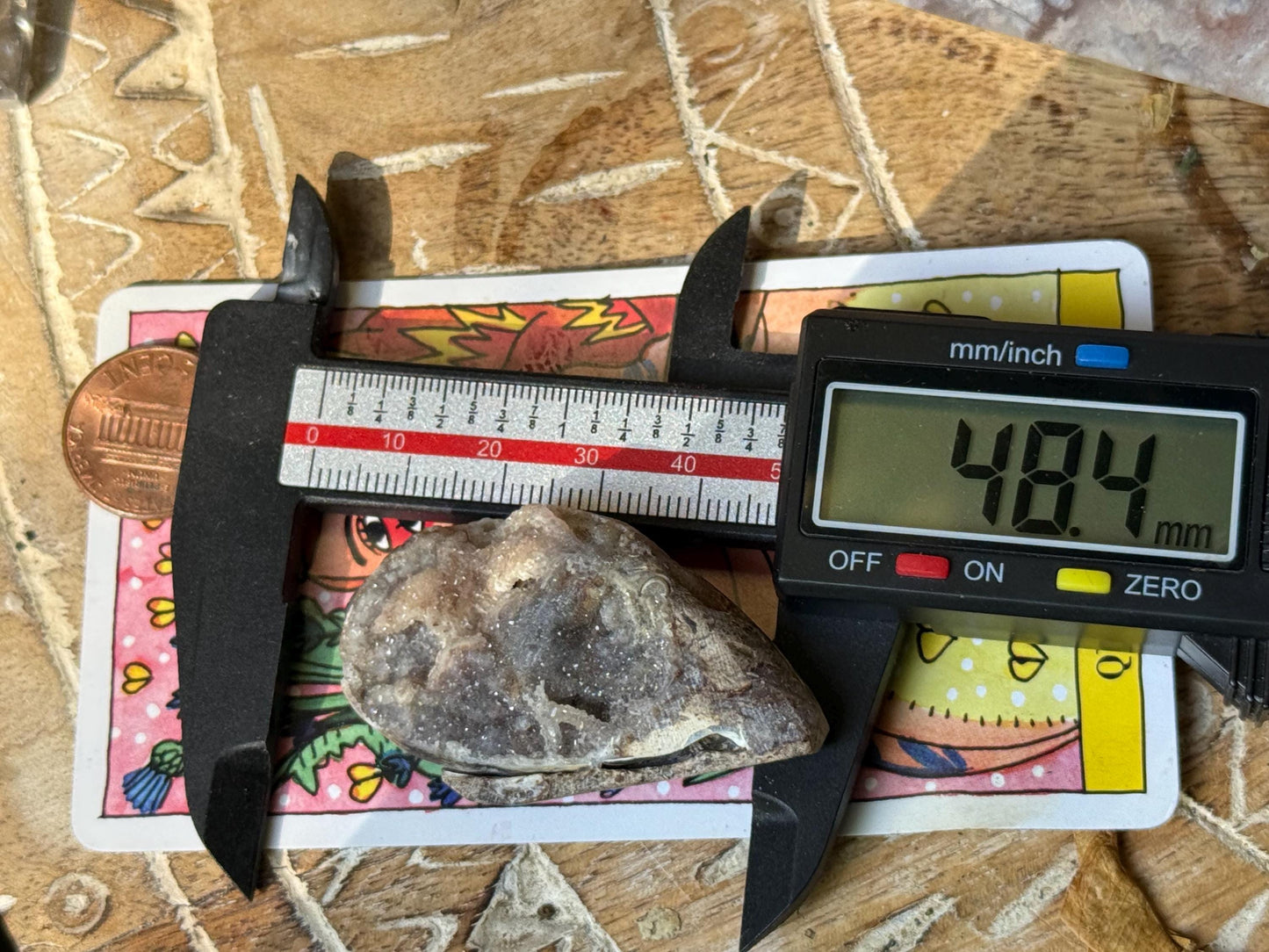 Spiralite Shell, Spiralite Quartz Shell, Fossilized Sea Shell, Agatized Shell, Druzy Quartz Shell, Fossilized Quartz, Crystal Gifts, Fossils