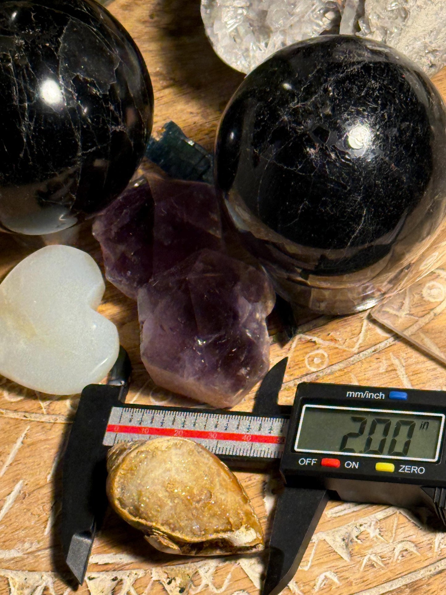 Spiralite Shell, Spiralite Quartz Shell, Fossilized Sea Shell, Agatized Shell, Druzy Quartz Shell, Fossilized Quartz, Crystal Gifts, Fossils