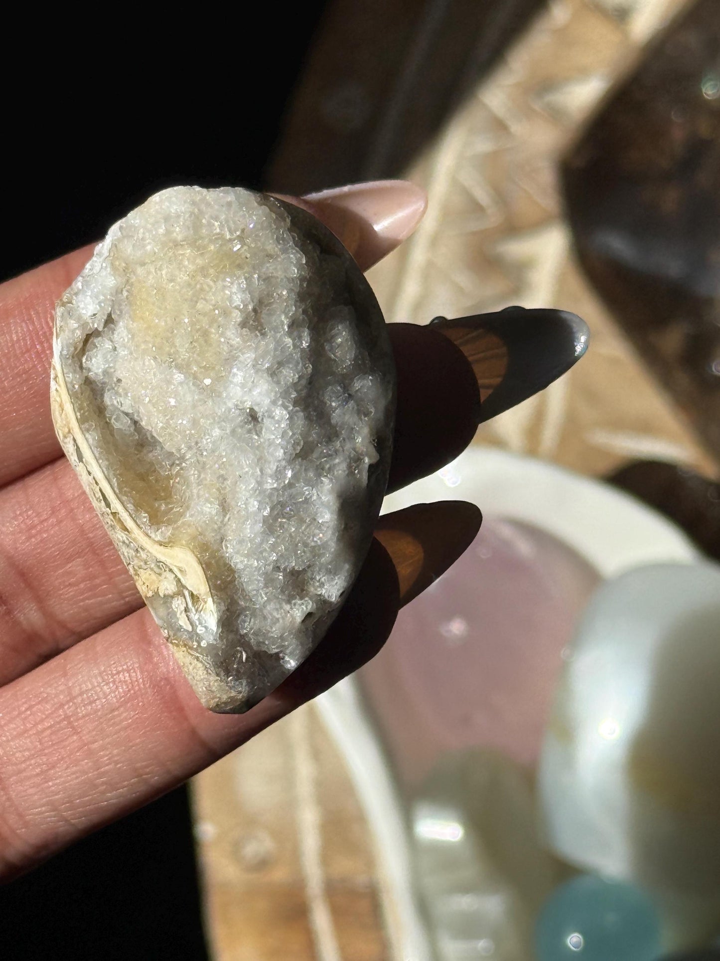 Spiralite Shell, Spiralite Quartz Shell, Fossilized Sea Shell, Agatized Shell, Druzy Quartz Shell, Fossilized Quartz, Crystal Gifts, Fossils