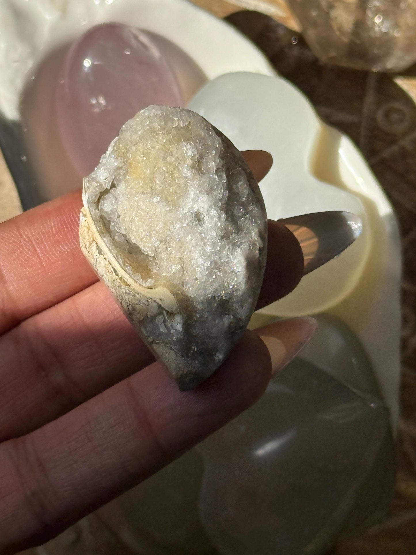 Spiralite Shell, Spiralite Quartz Shell, Fossilized Sea Shell, Agatized Shell, Druzy Quartz Shell, Fossilized Quartz, Crystal Gifts, Fossils