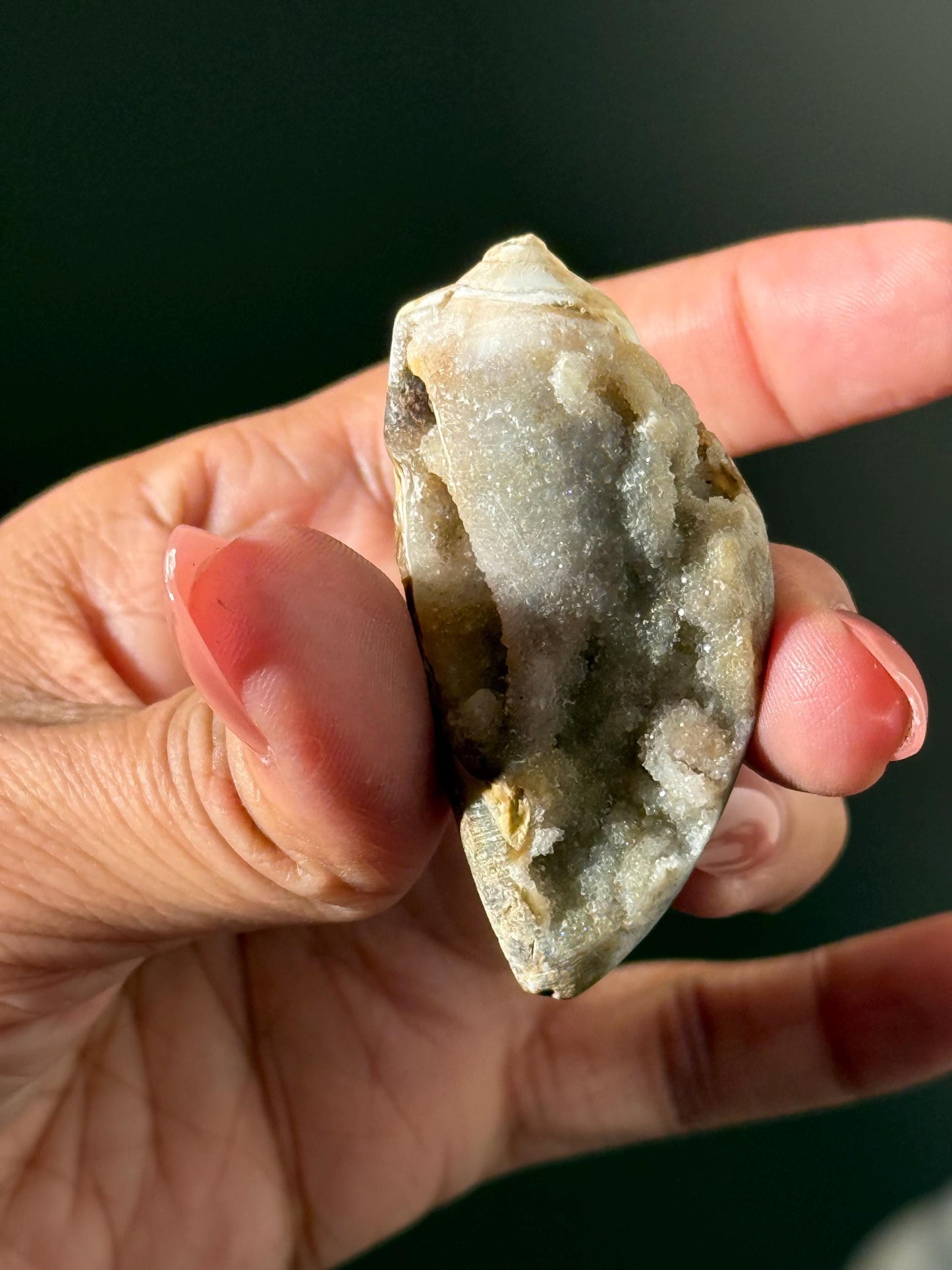 Spiralite Shell, Spiralite Quartz Shell, Fossilized Sea Shell, Agatized Shell, Druzy Quartz Shell, Fossilized Quartz, Crystal Gifts, Fossils