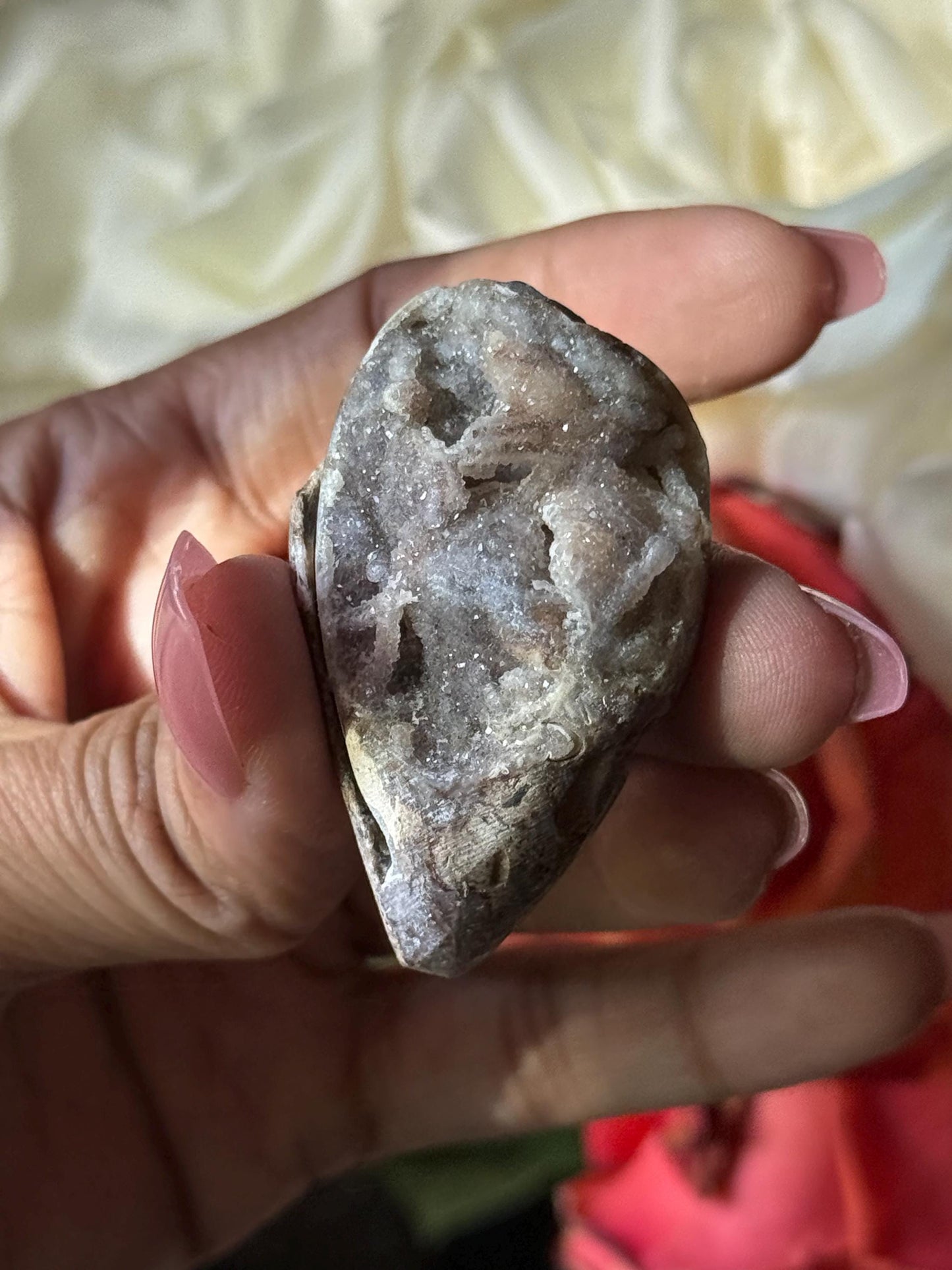 Spiralite Shell, Spiralite Quartz Shell, Fossilized Sea Shell, Agatized Shell, Druzy Quartz Shell, Fossilized Quartz, Crystal Gifts, Fossils