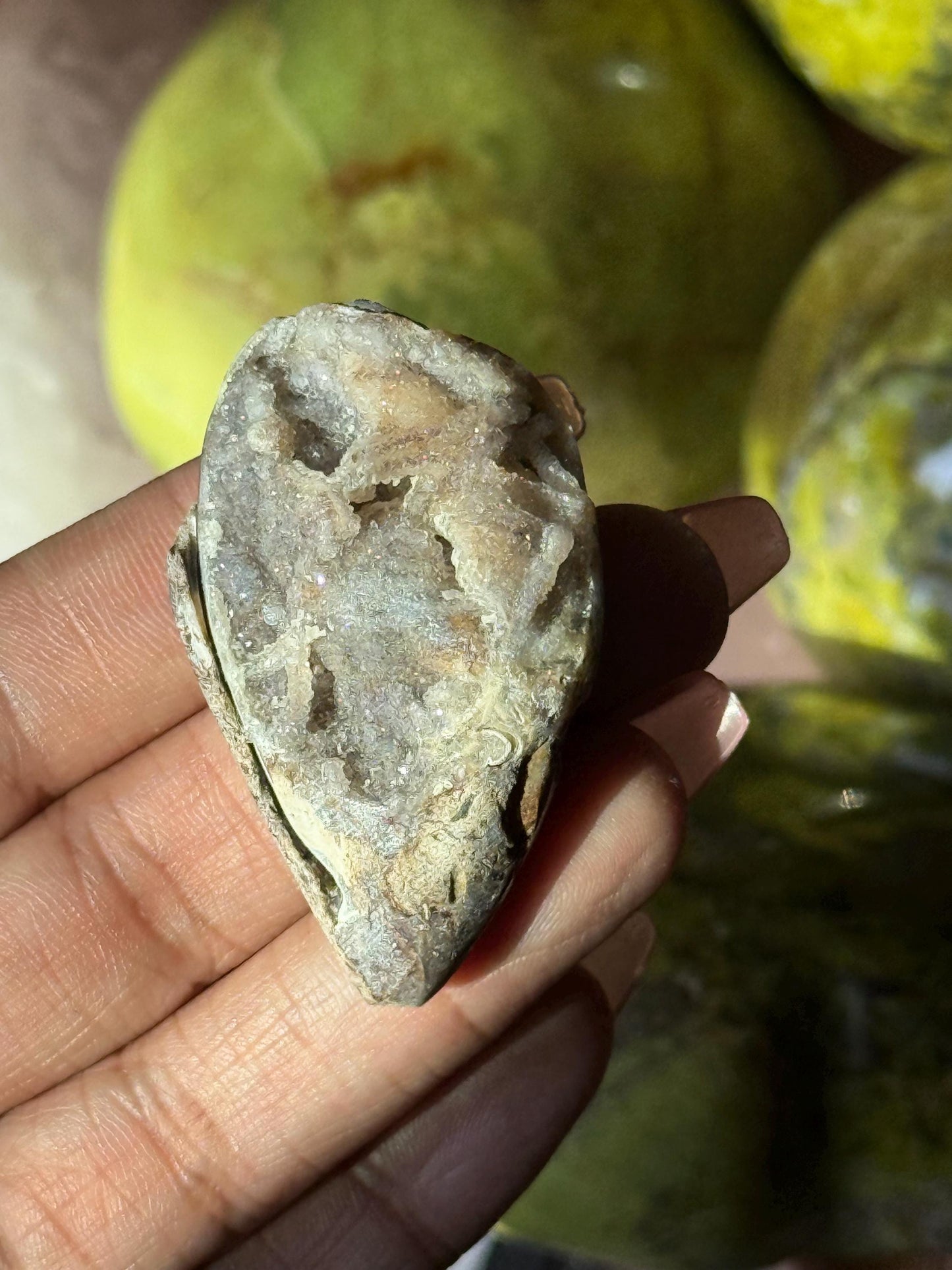 Spiralite Shell, Spiralite Quartz Shell, Fossilized Sea Shell, Agatized Shell, Druzy Quartz Shell, Fossilized Quartz, Crystal Gifts, Fossils