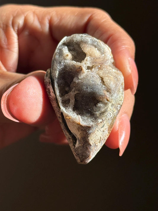 Spiralite Shell, Spiralite Quartz Shell, Fossilized Sea Shell, Agatized Shell, Druzy Quartz Shell, Fossilized Quartz, Crystal Gifts, Fossils