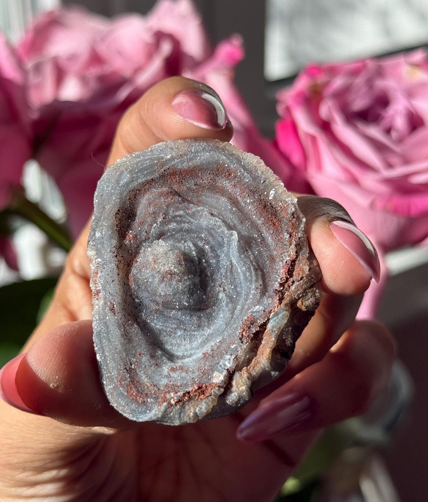 Druzy Chalcedony, Galaxy Chalcedony, Druzy Chalcedony Specimen, Natural Raw Chalcedony, Raw Blue chalcedony, Fossils, Crystal Gifts,