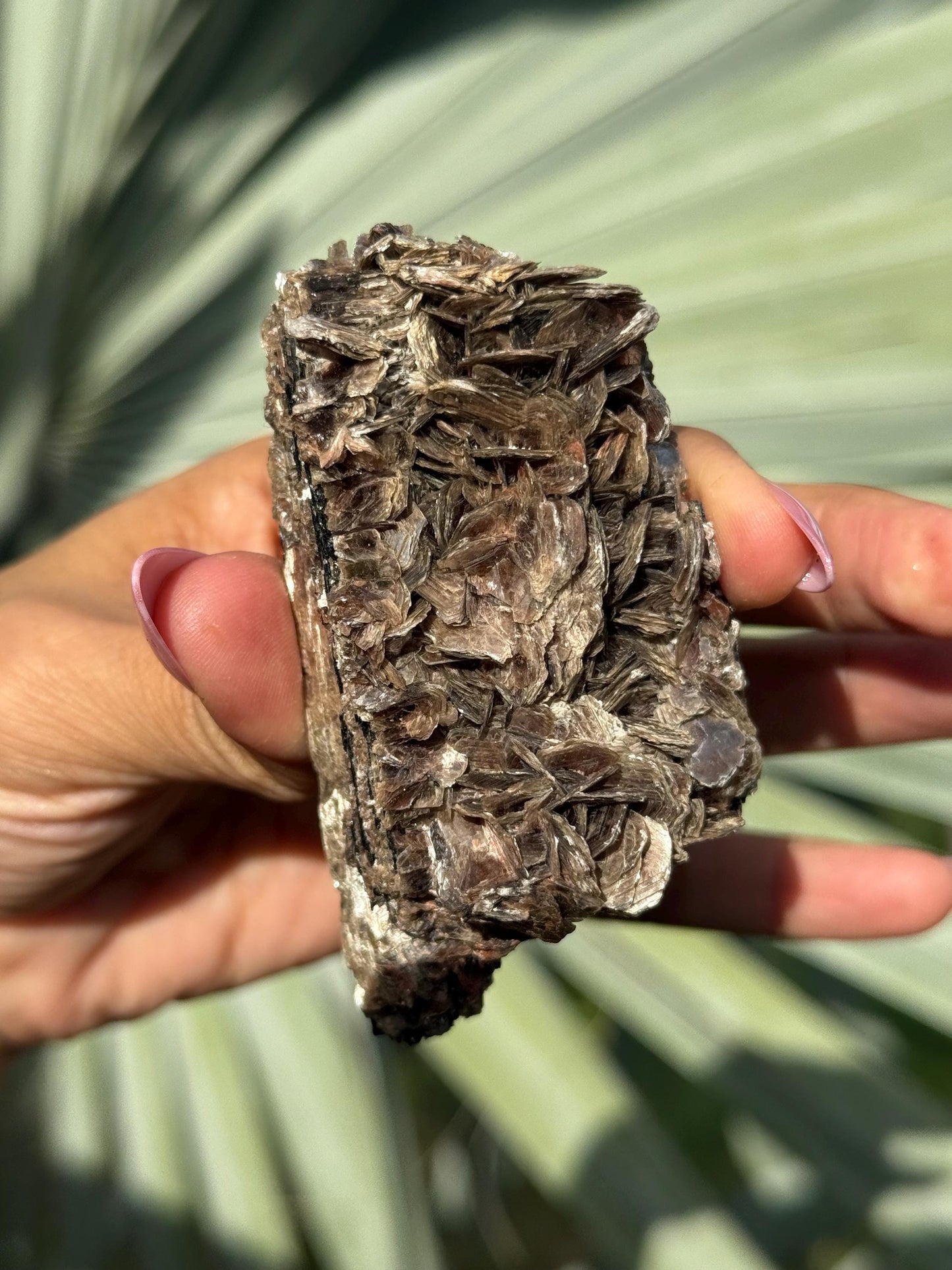 Black Tourmaline with Mica, Raw Black Tourmaline, Tourmaline mineral, Raw Crystal Specimen, Crystal Gifts, Home Decor