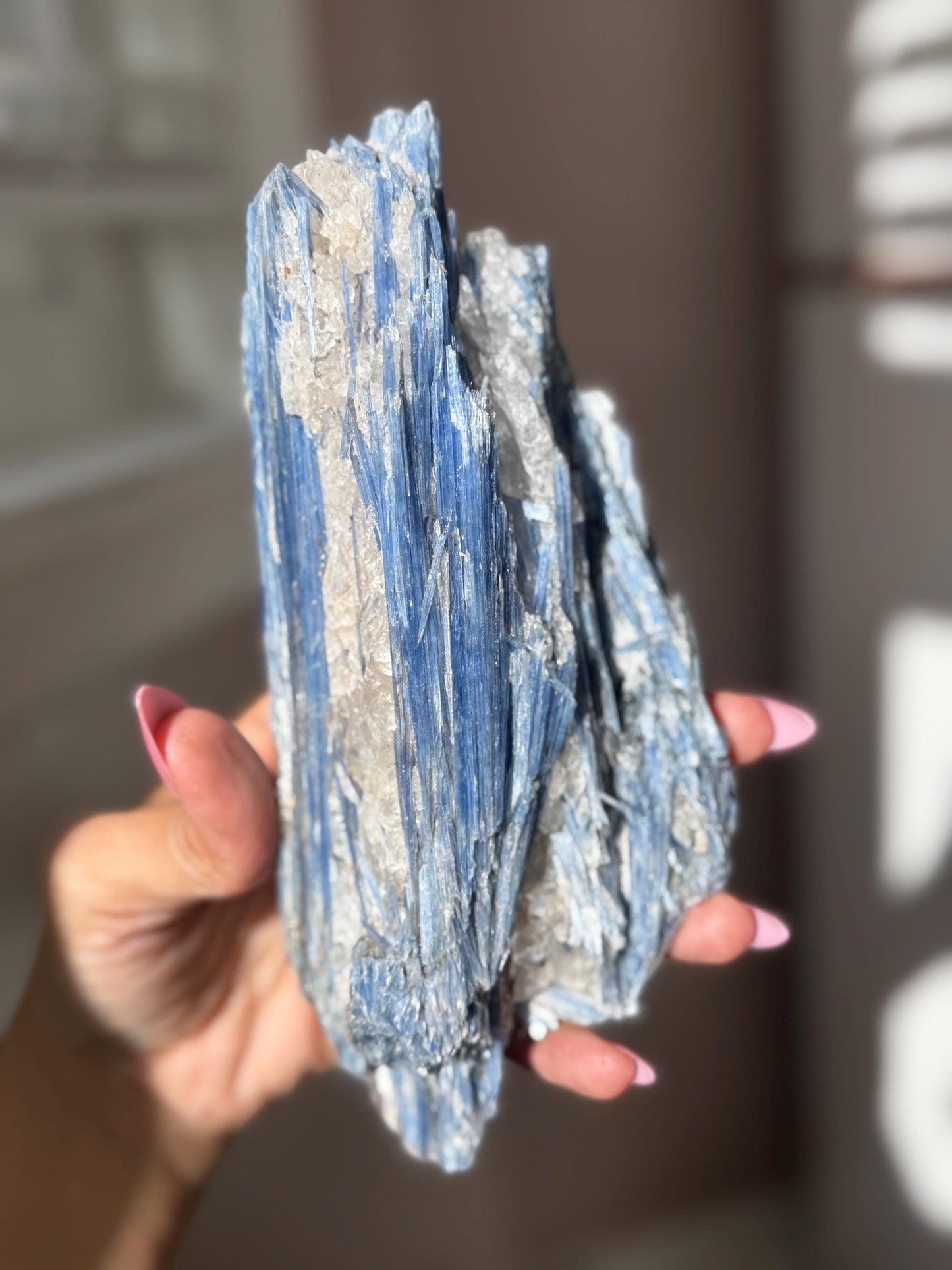 Brazilian Kyanite and Quartz Combo, Kyanite With Quartz, Kyanite, Raw Crystals, Raw Minerals, Fossils, Crystal Gifts,