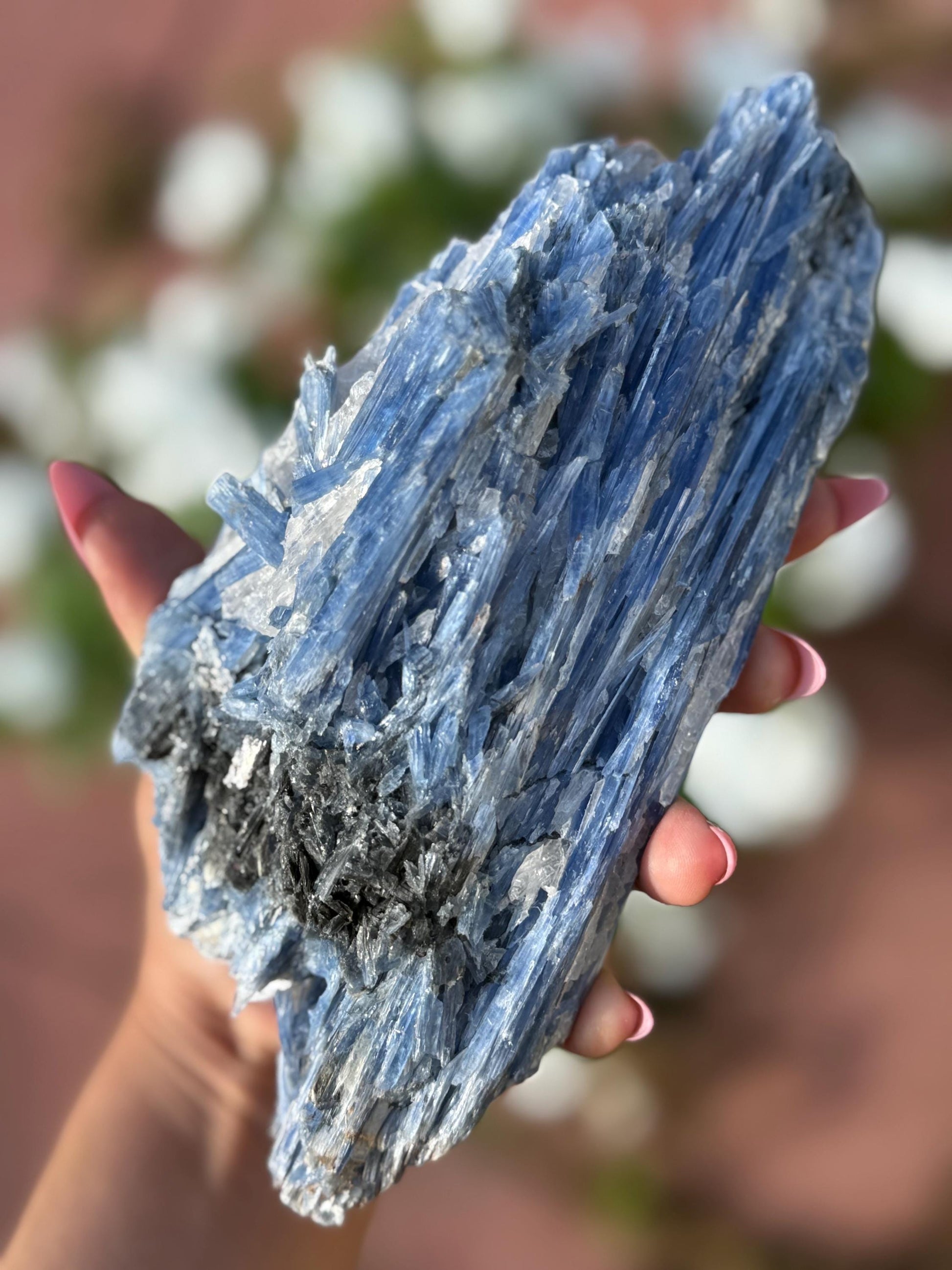 Brazilian Kyanite and Quartz Combo, Kyanite, natural minerals and rocks