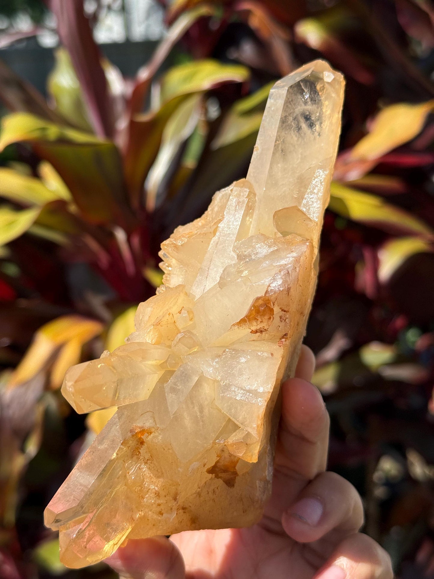 Tangerine Quartz Cluster, Tangerine Quartz From Brazil, Authentic Quartz, Natural Raw Quartz Cluster, Crystal Gifts, Medium