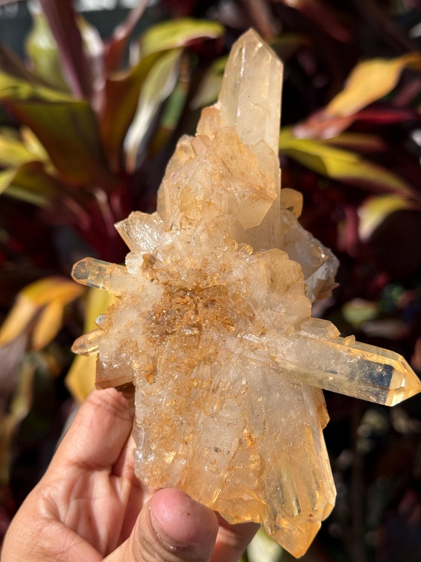Tangerine Quartz Cluster, Tangerine Quartz From Brazil, Authentic Quartz, Natural Raw Quartz Cluster, Crystal Gifts, Medium