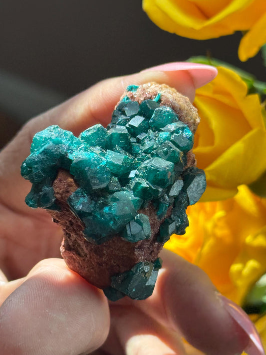 Dioptase, Natural Raw Dioptase, Dioptase from Republic of the Congo, Fossils and Minerals,