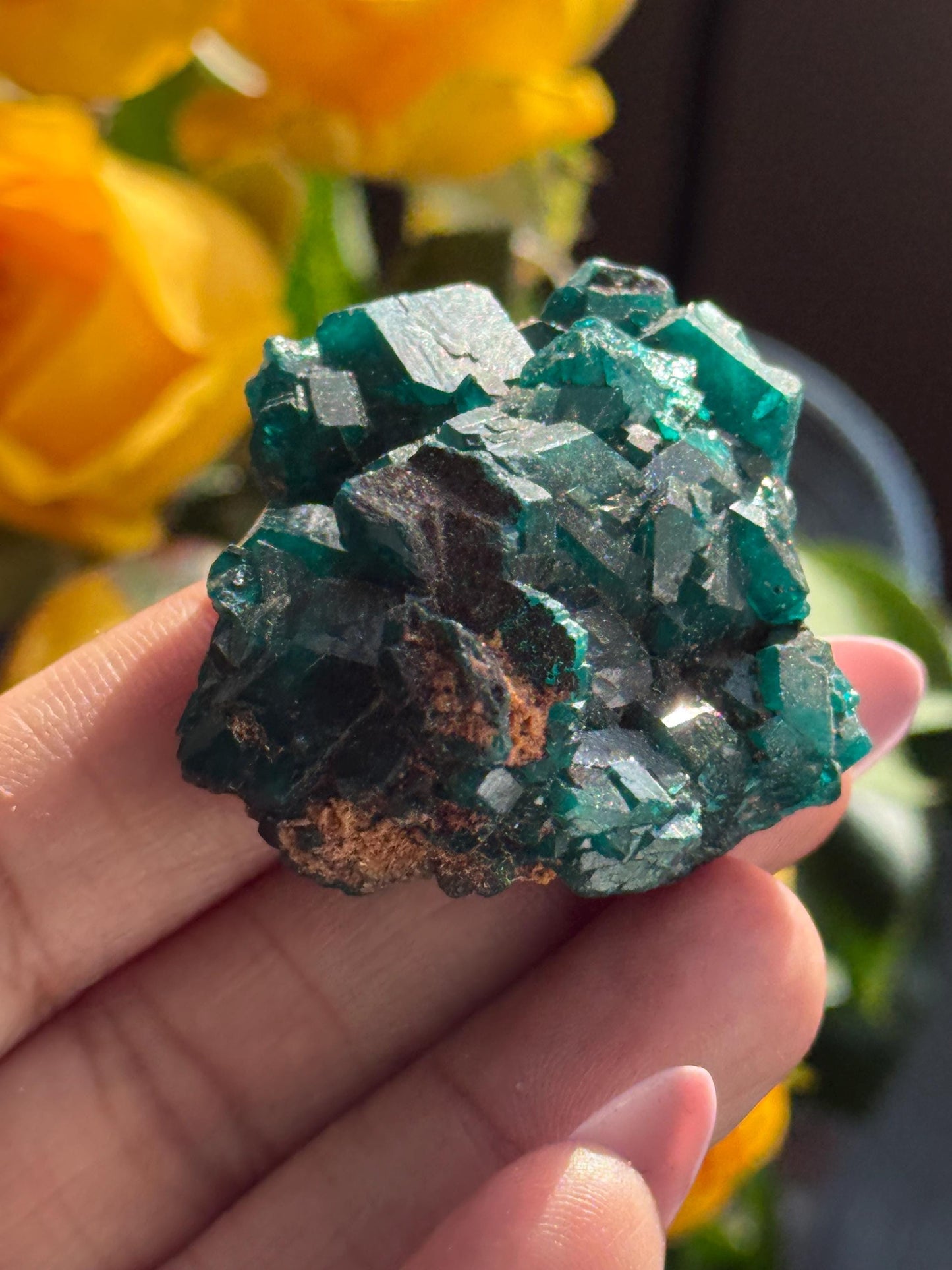 Dioptase, Natural Raw Dioptase, Dioptase from Republic of the Congo, Fossils and Minerals,