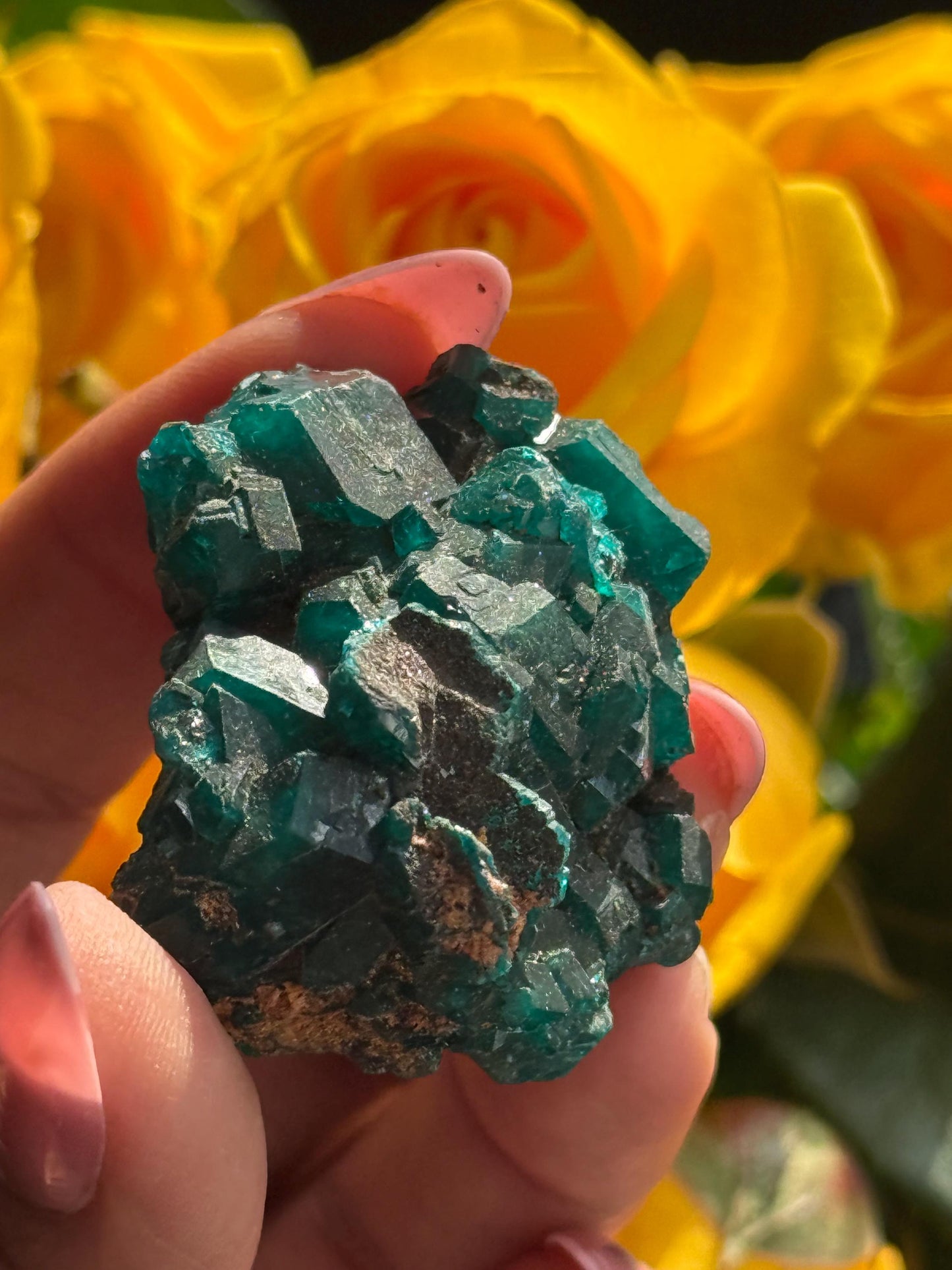 Dioptase, Natural Raw Dioptase, Dioptase from Republic of the Congo, Fossils and Minerals,