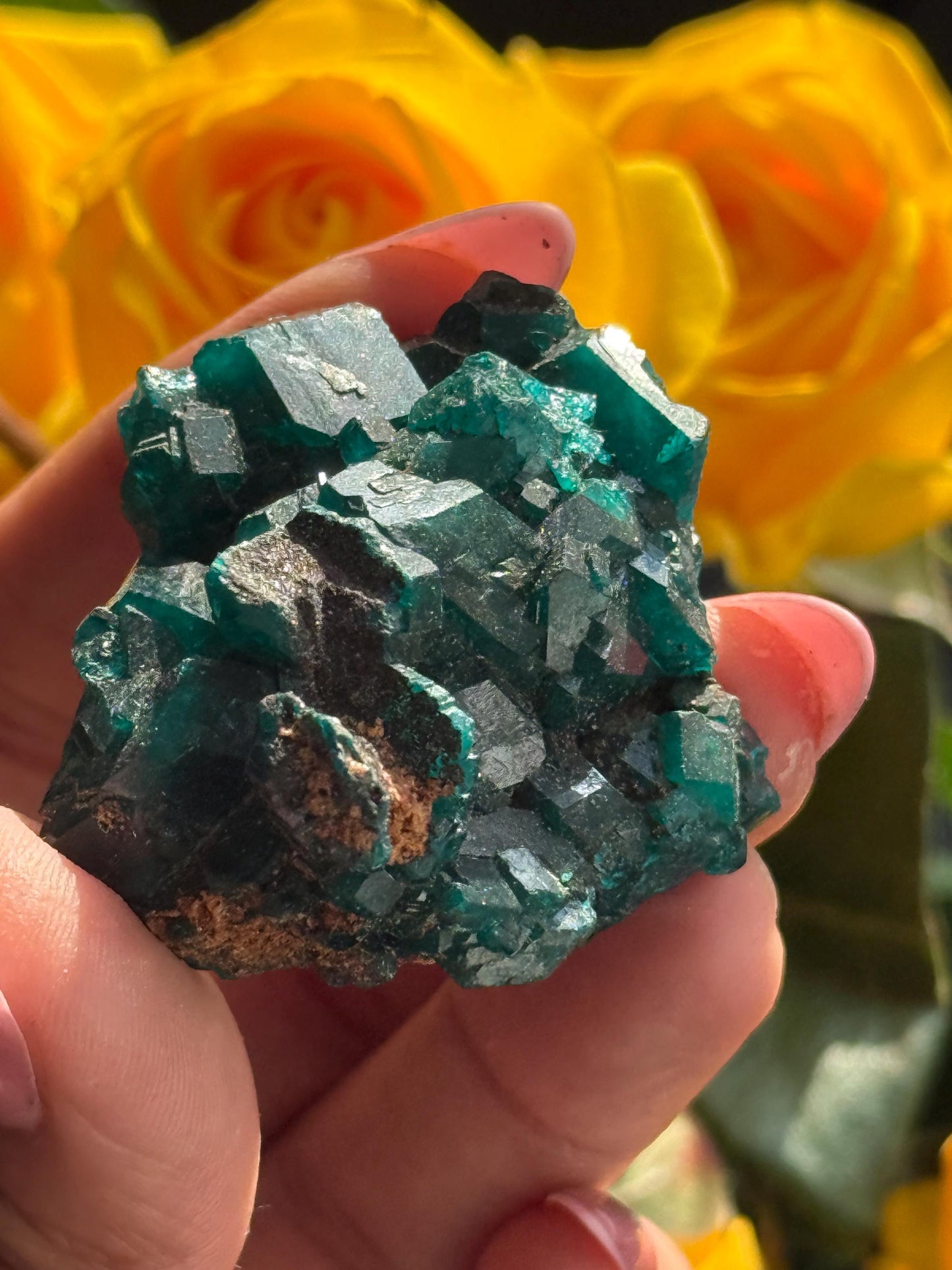 Dioptase, Natural Raw Dioptase, Dioptase from Republic of the Congo, Fossils and Minerals,